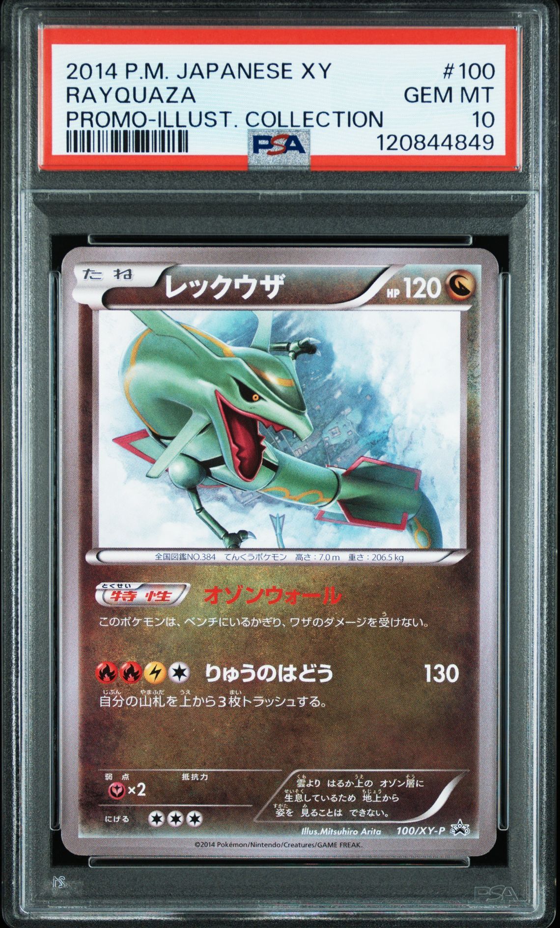 レックウザ イラストコレクション: プロモ[XY-P 100/XY-P](プロモーションカード「XY-P」)