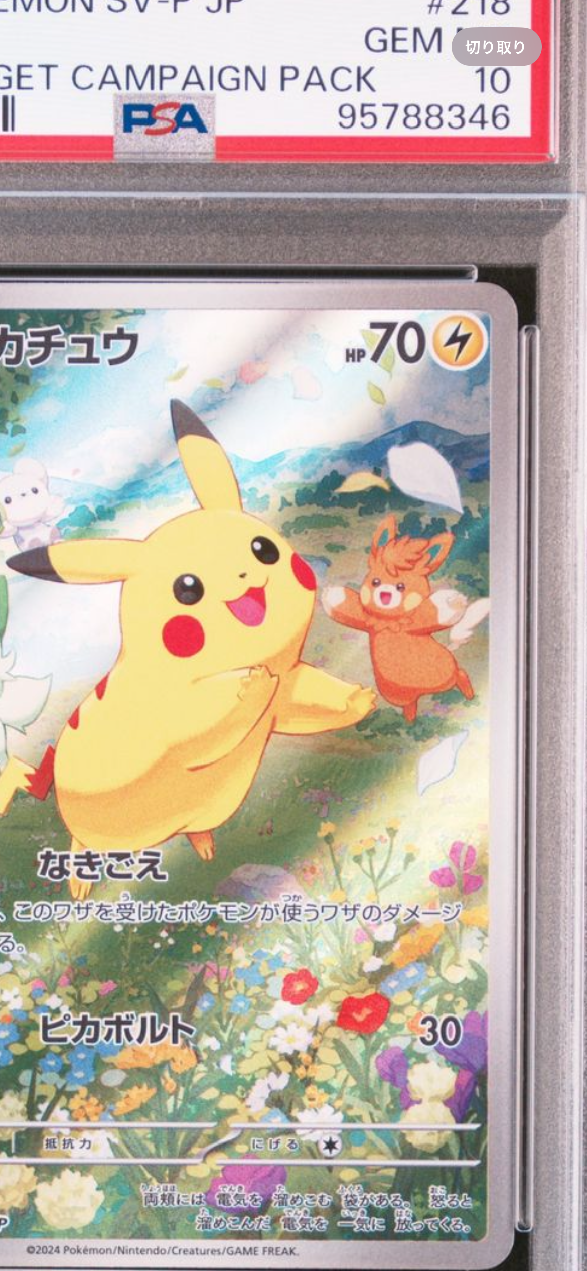 ポケカの夏がキタ 夏がキタ 夏 プロモ ピカチュウ なきごえ 218 ar 2枚 ポケモンカード ピカチュウ ポケカの夏がキタ！プロモ 218/SV-P