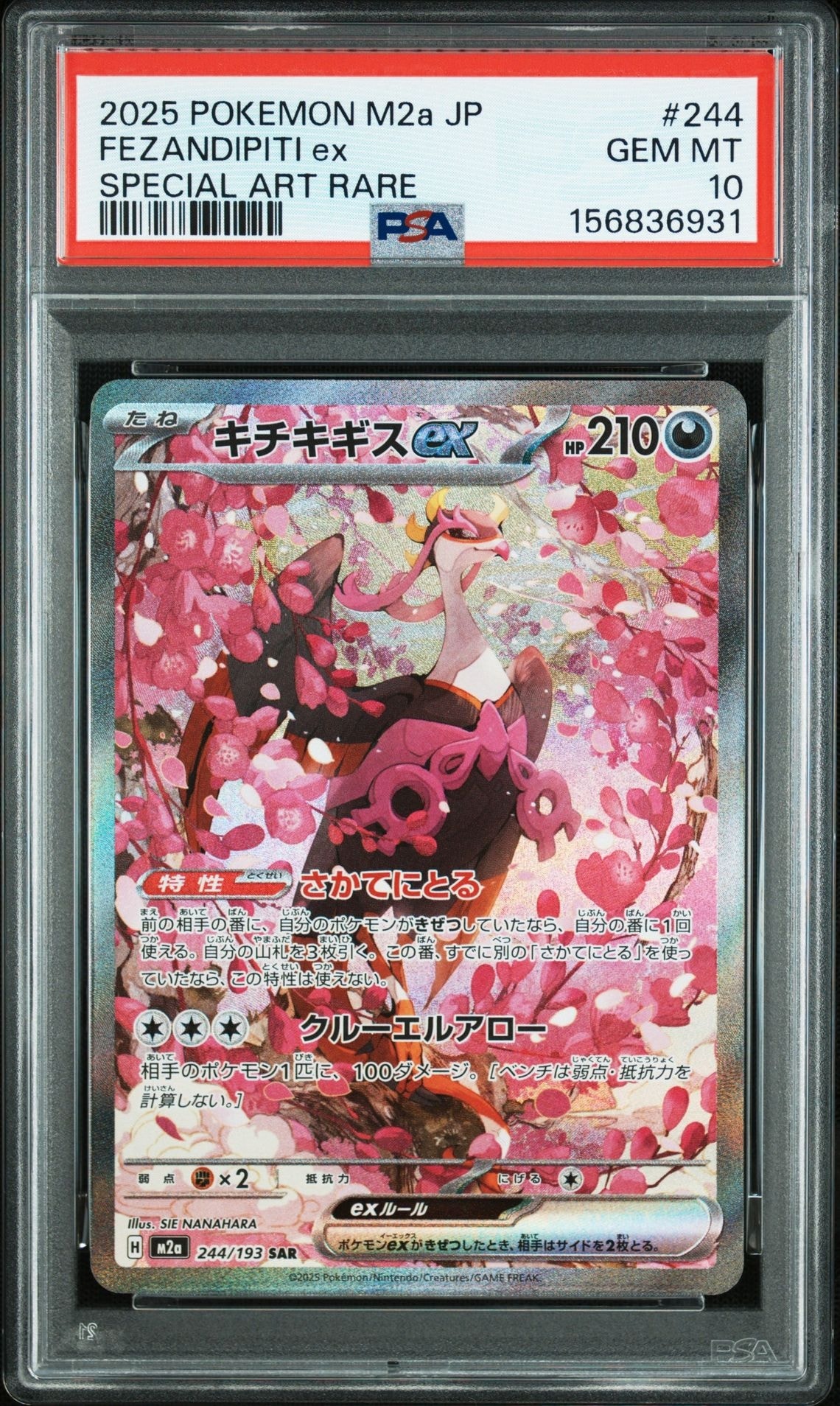 キチキギスex SAR [M2a 244/193](ハイクラスパック「MEGAドリームex