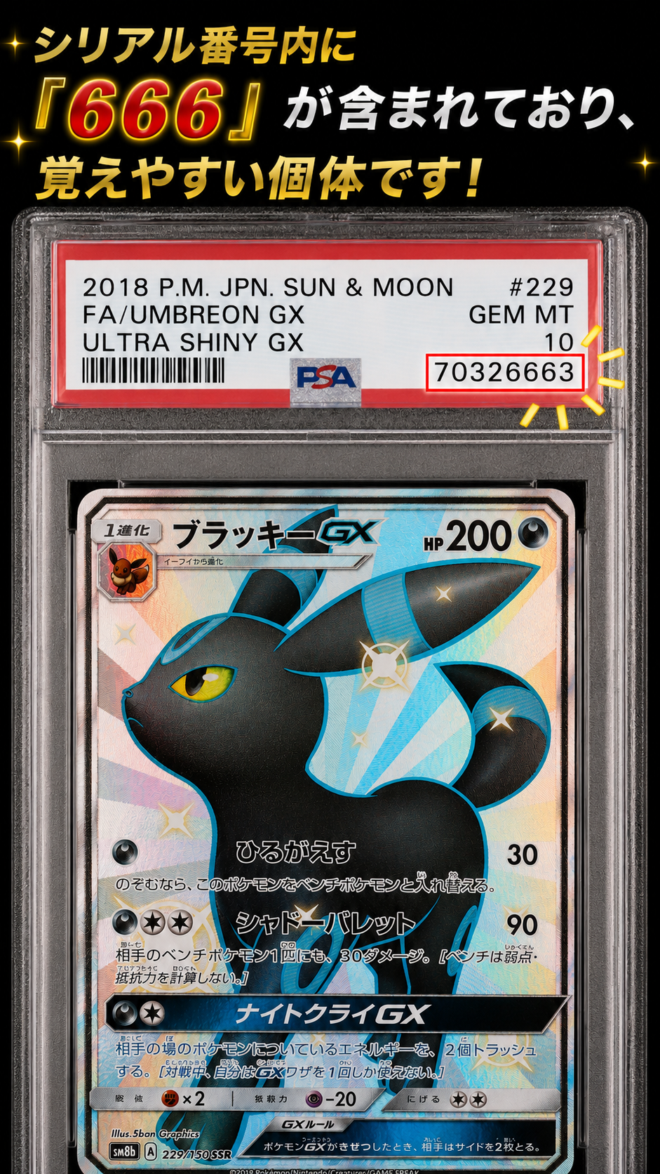 PSA10】ブラッキーGX SSR[SM8b 229/150](ハイクラスパック「GXウルトラ