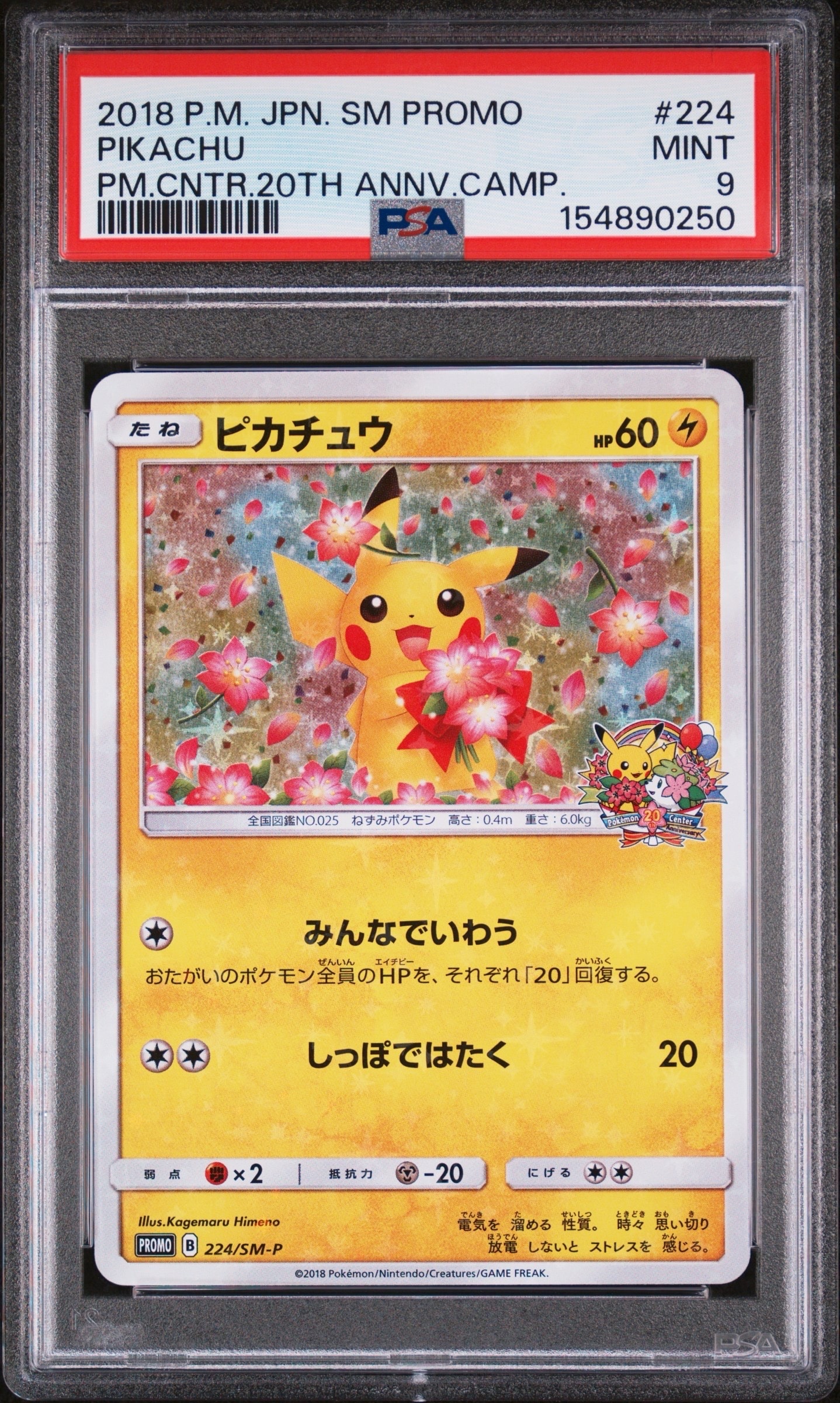ピカチュウ: プロモ[SM-P 224](プロモーションカード「SM-P」)の新品