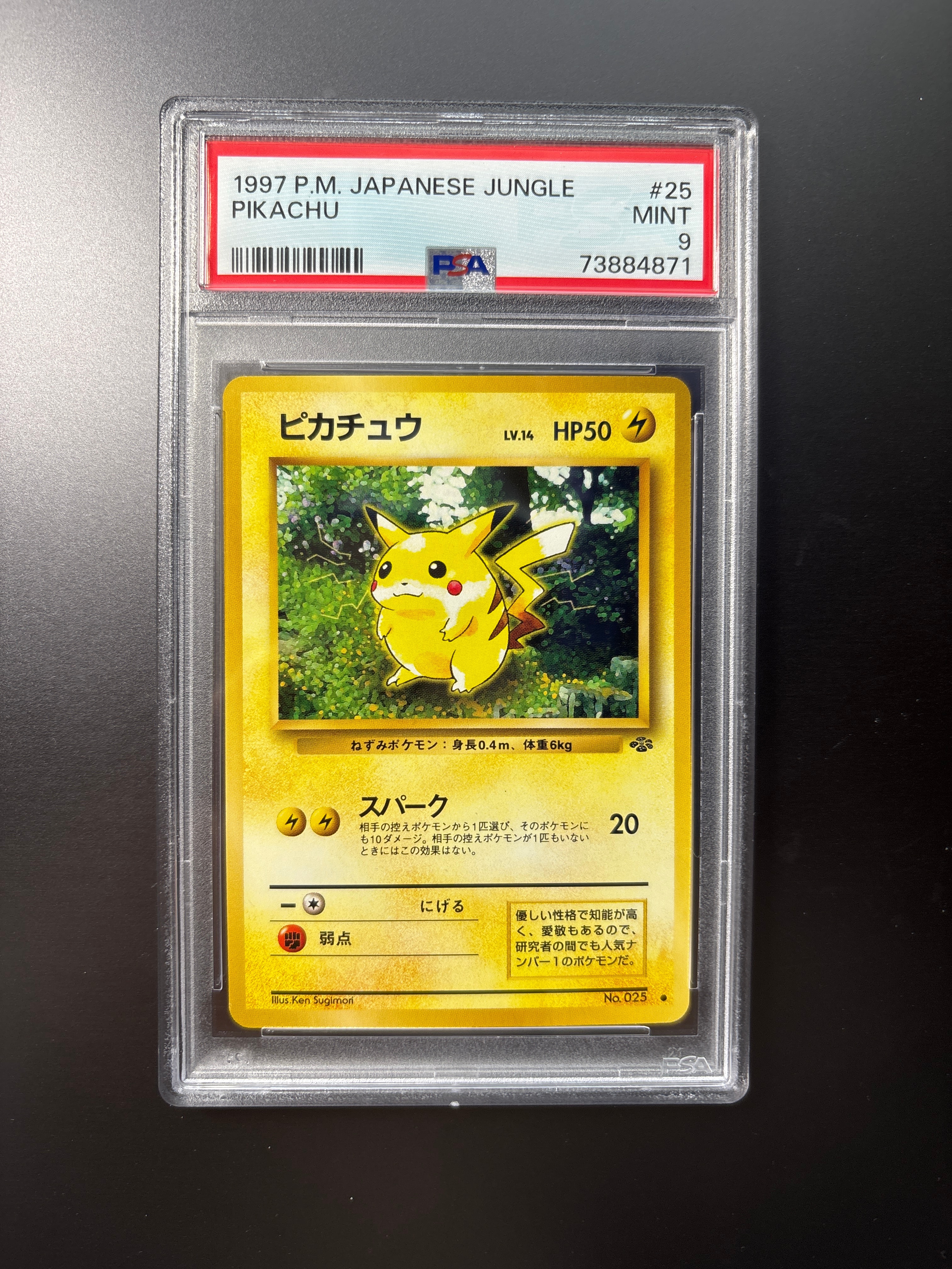 ピカチュウ ● : 旧裏 [PMCG2 No.025](拡張パック「ポケモンジャングル」)
