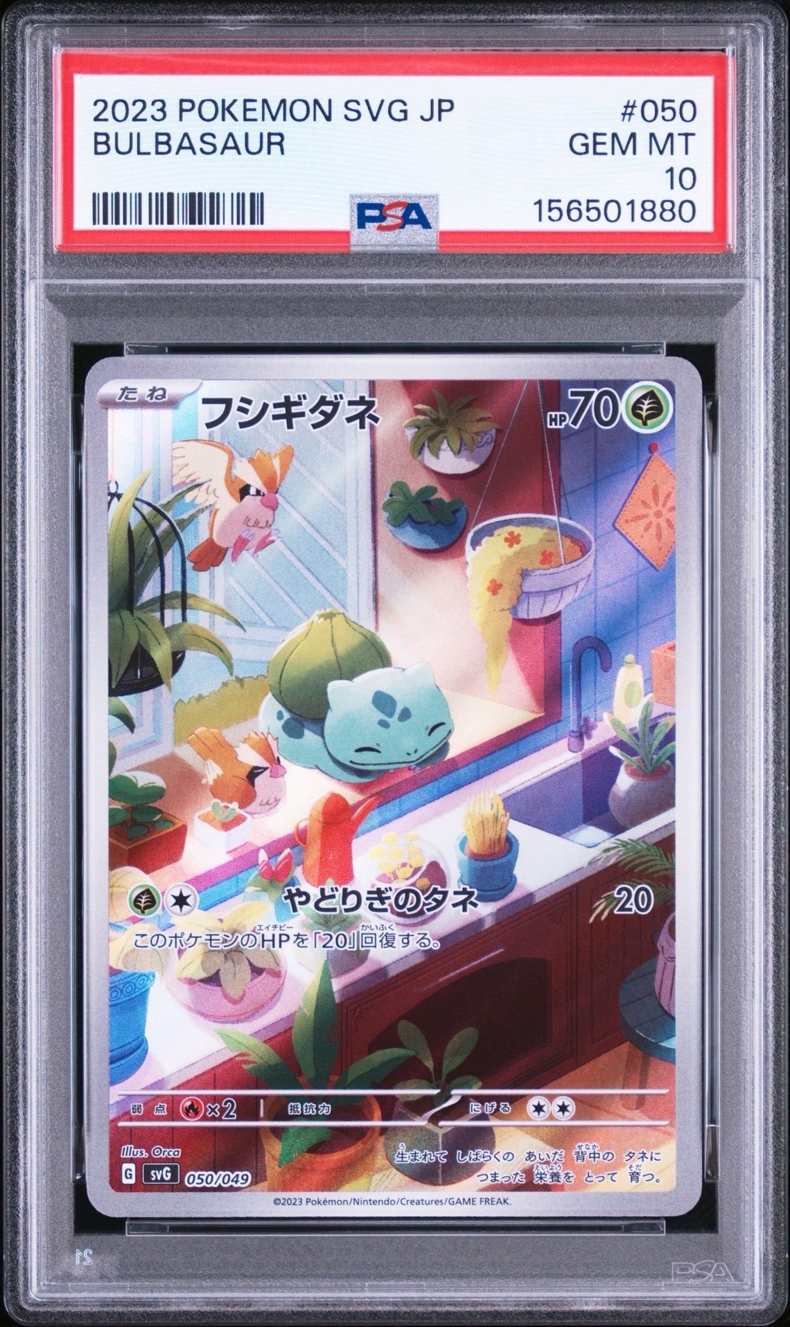 シブヤのピカチュウ: プロモ[S-P 002](プロモーションカード「S-P」)の