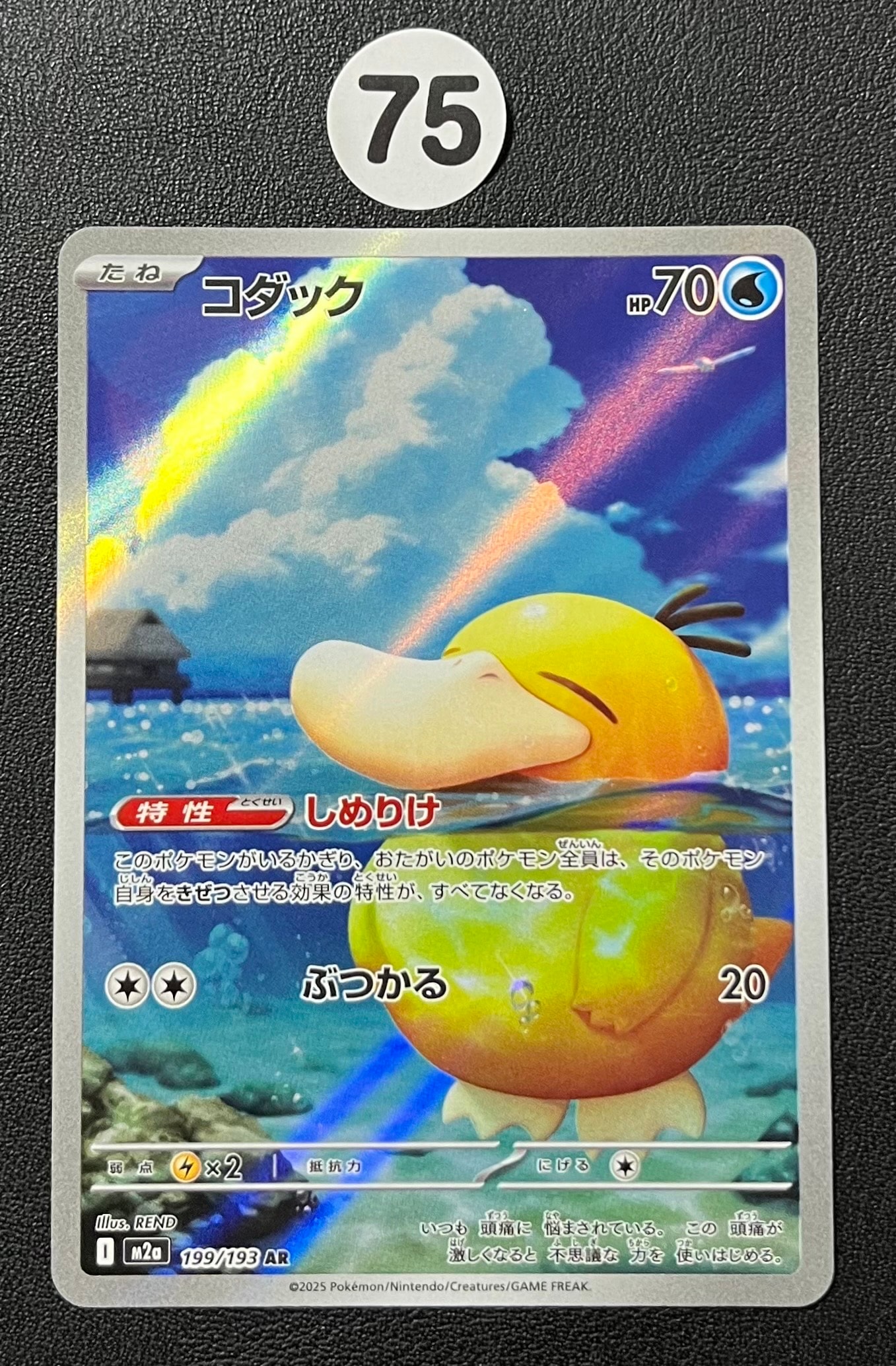 コダック AR [M2a 199/193](ハイクラスパック「MEGAドリームex」)