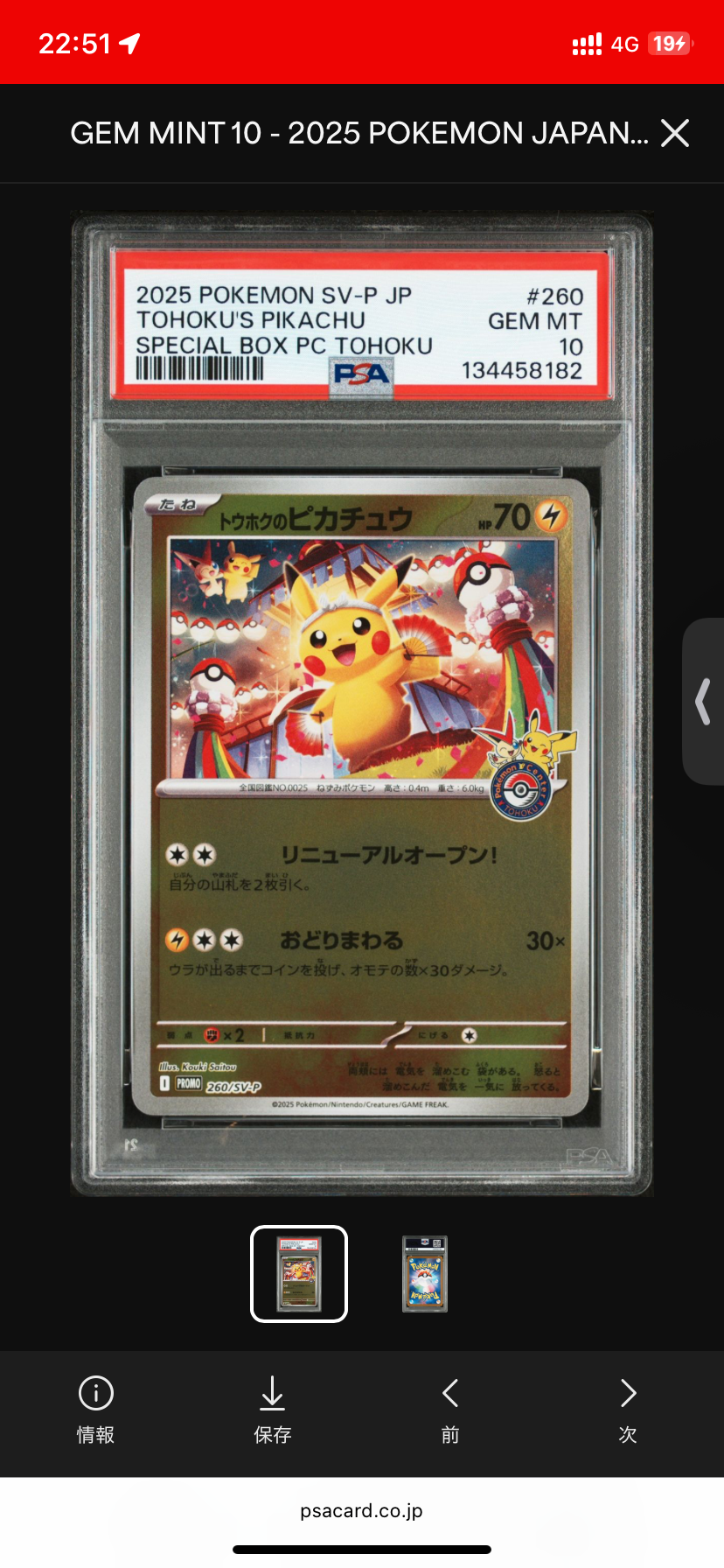 トウホクのピカチュウ P [SV-P 260](スペシャルBOX「ポケモンセンタートウホク」)