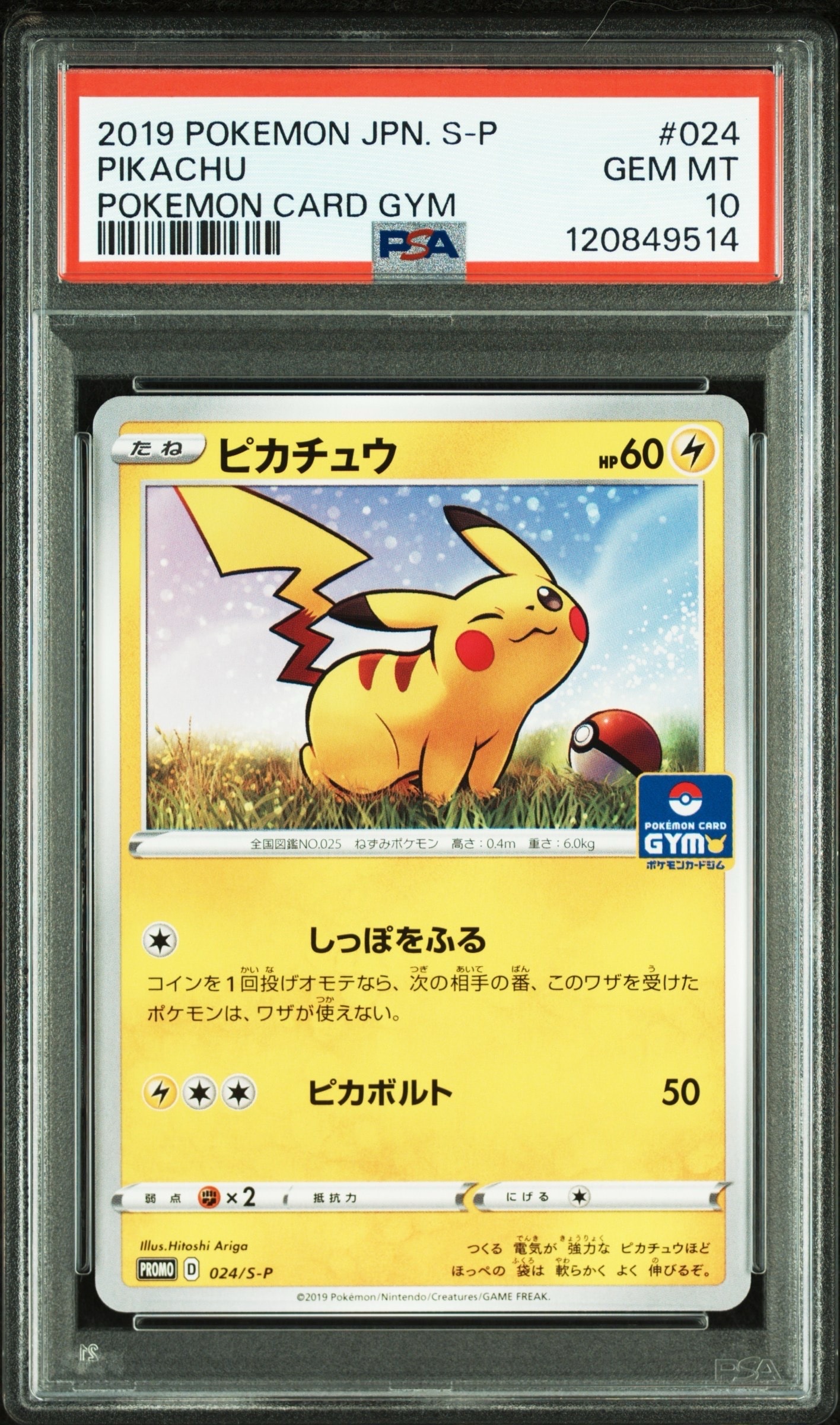 ピカチュウ: プロモ P [S-P 024](ポケモンカードゲーム ソード&シールド 「プロモカードパック 第1弾」)