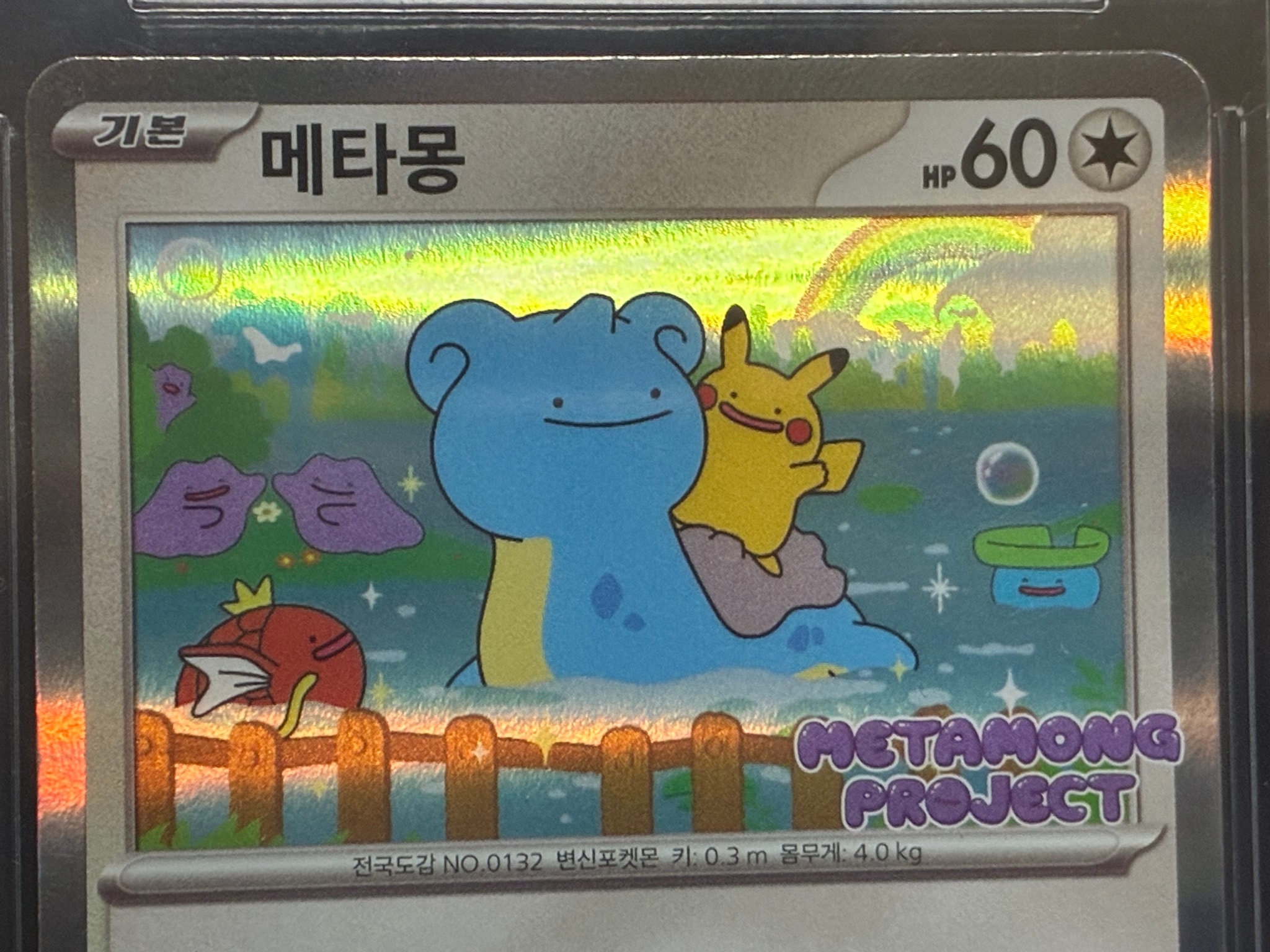 BGS9.5】メタモン P [SV-P 173]【韓国語版】(ポケモンタウン2025 with