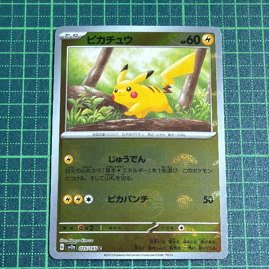 レックウザ ポケパークプレミアムファイル009/009 ホロ ポケモンカード レックウザ009/009 ポケパークプレミアムファイルブルーシート