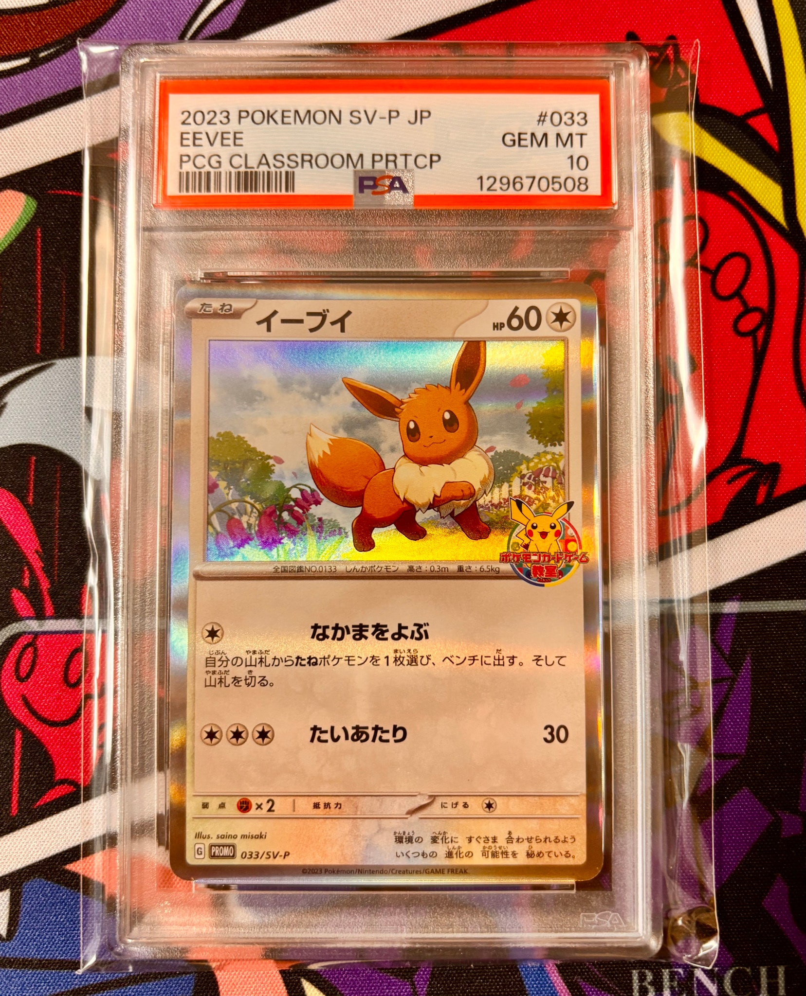 イーブイ: プロモ [SV-P 033](「 ポケモンカードゲーム教室