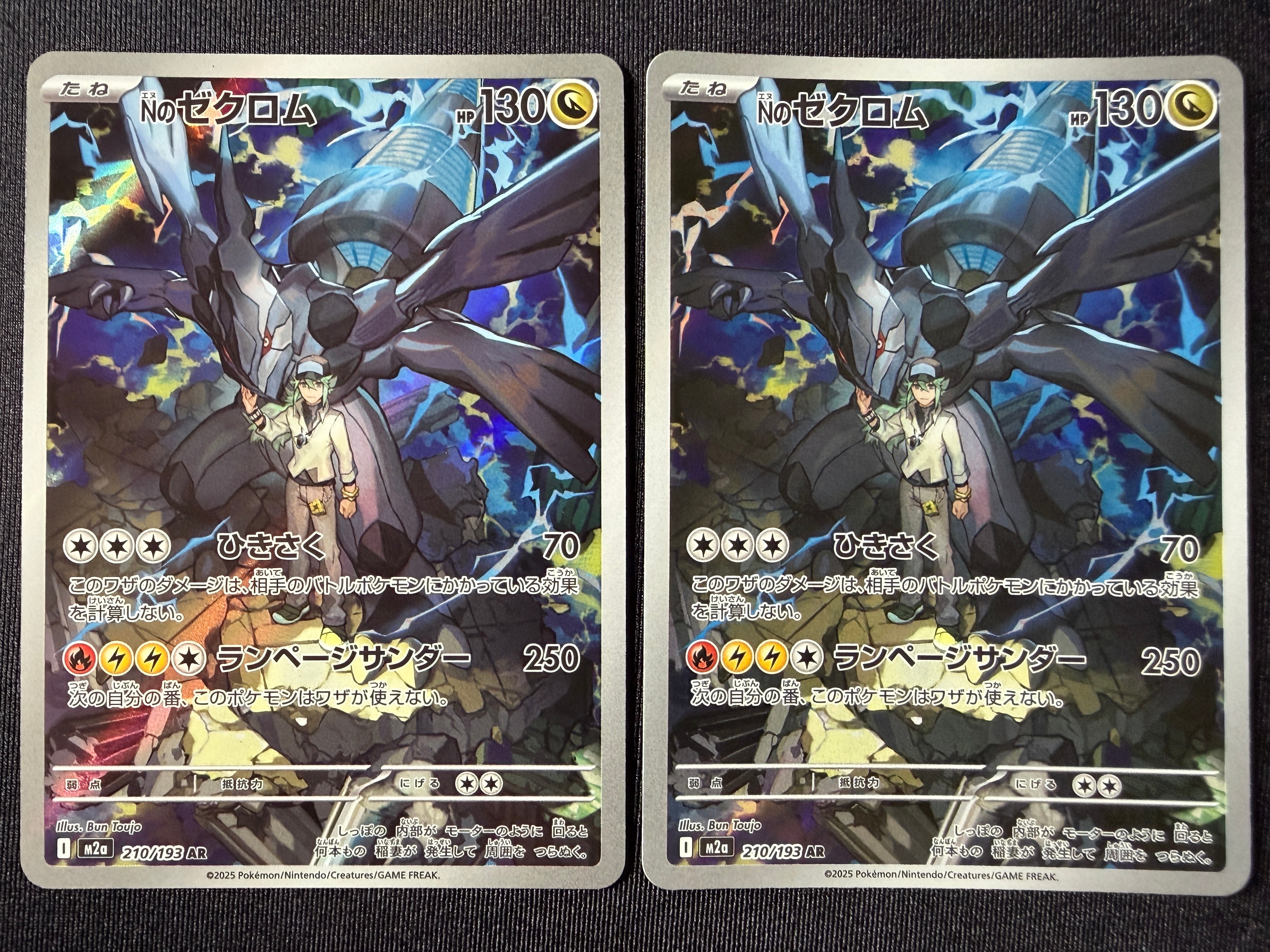 タケルライコex SAR [SV8a 222/187](ハイクラスパック「テラスタル