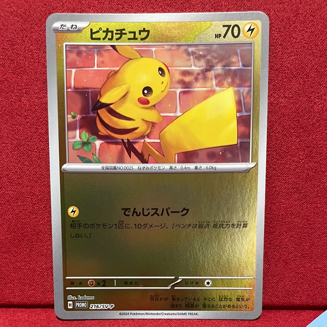 ピカチュウ P [SV-P 216](プロモカードパック「ポケカの夏がキタ!プロモカードGetキャンペーン!」)