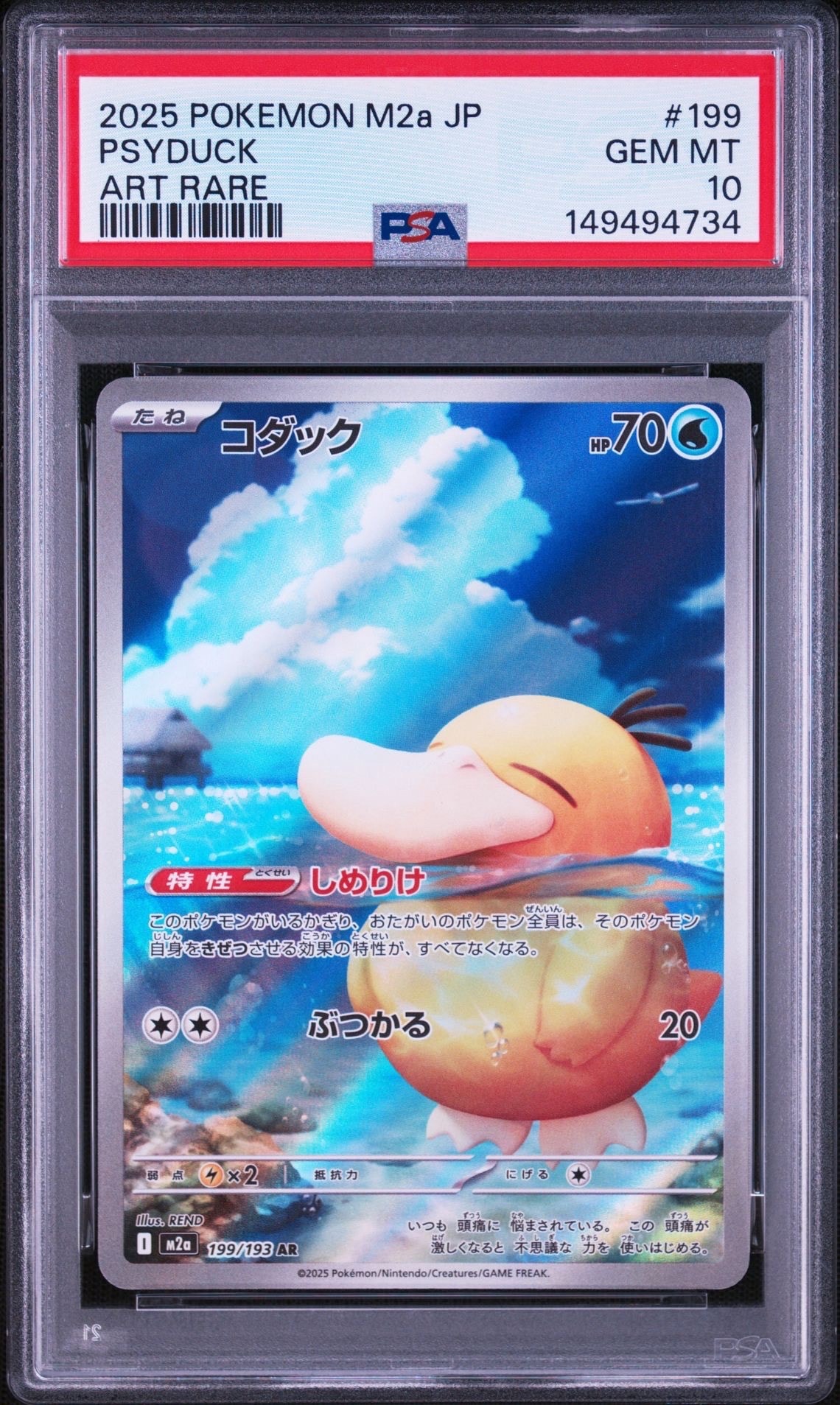 コダック AR [M2a 199/193](ハイクラスパック「MEGAドリームex」)
