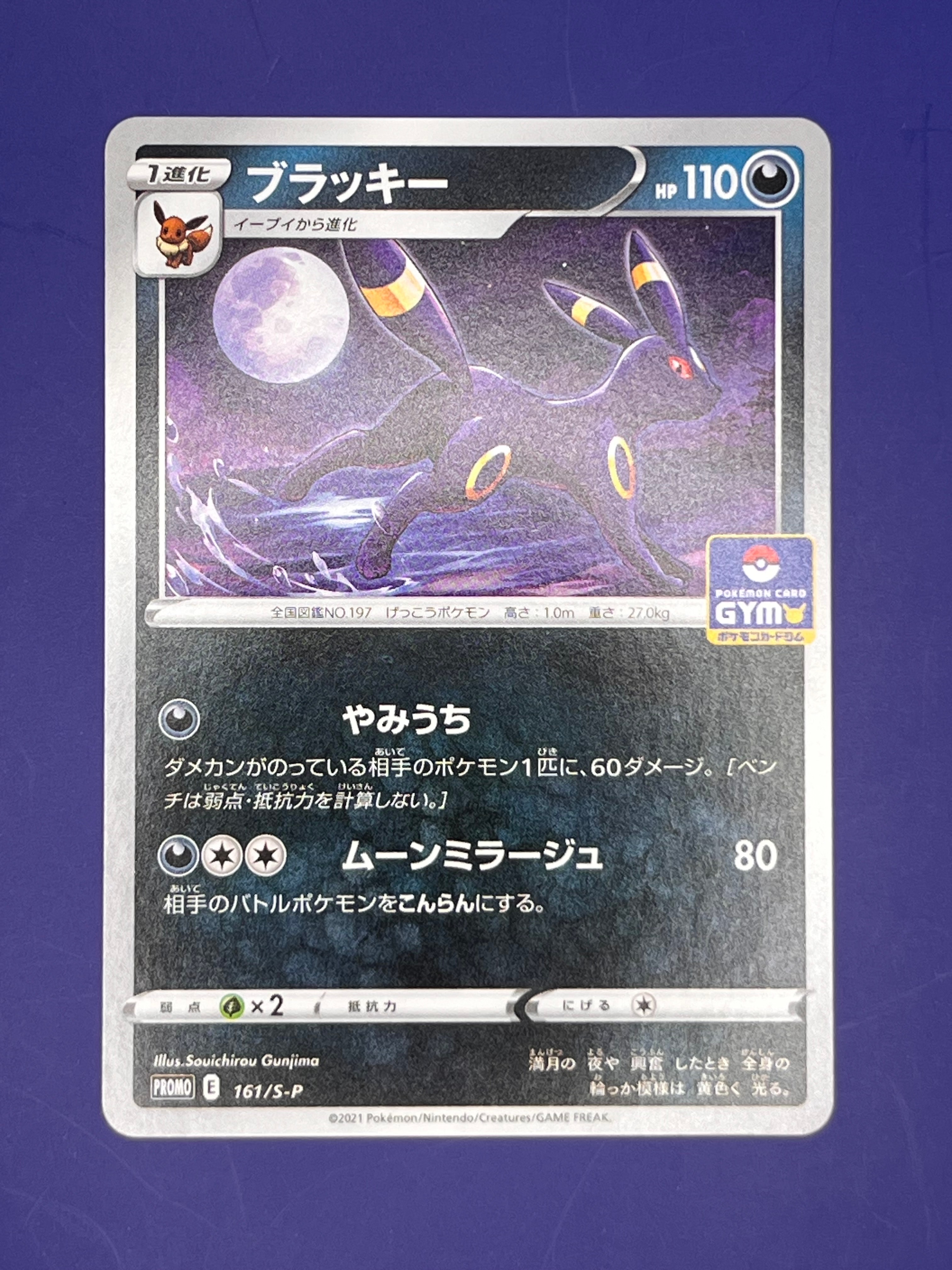 リザードンex SAR[SV3 134/108](拡張パック「黒炎の支配者」)の新品