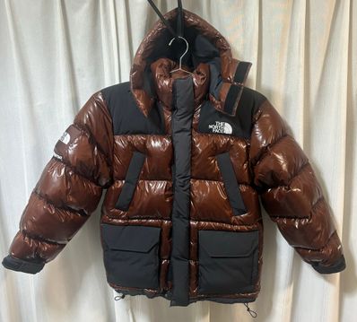 Supreme x The North Face 700-Fill Down Parka "Brown" NF0A82R3JK3 / ND52206I