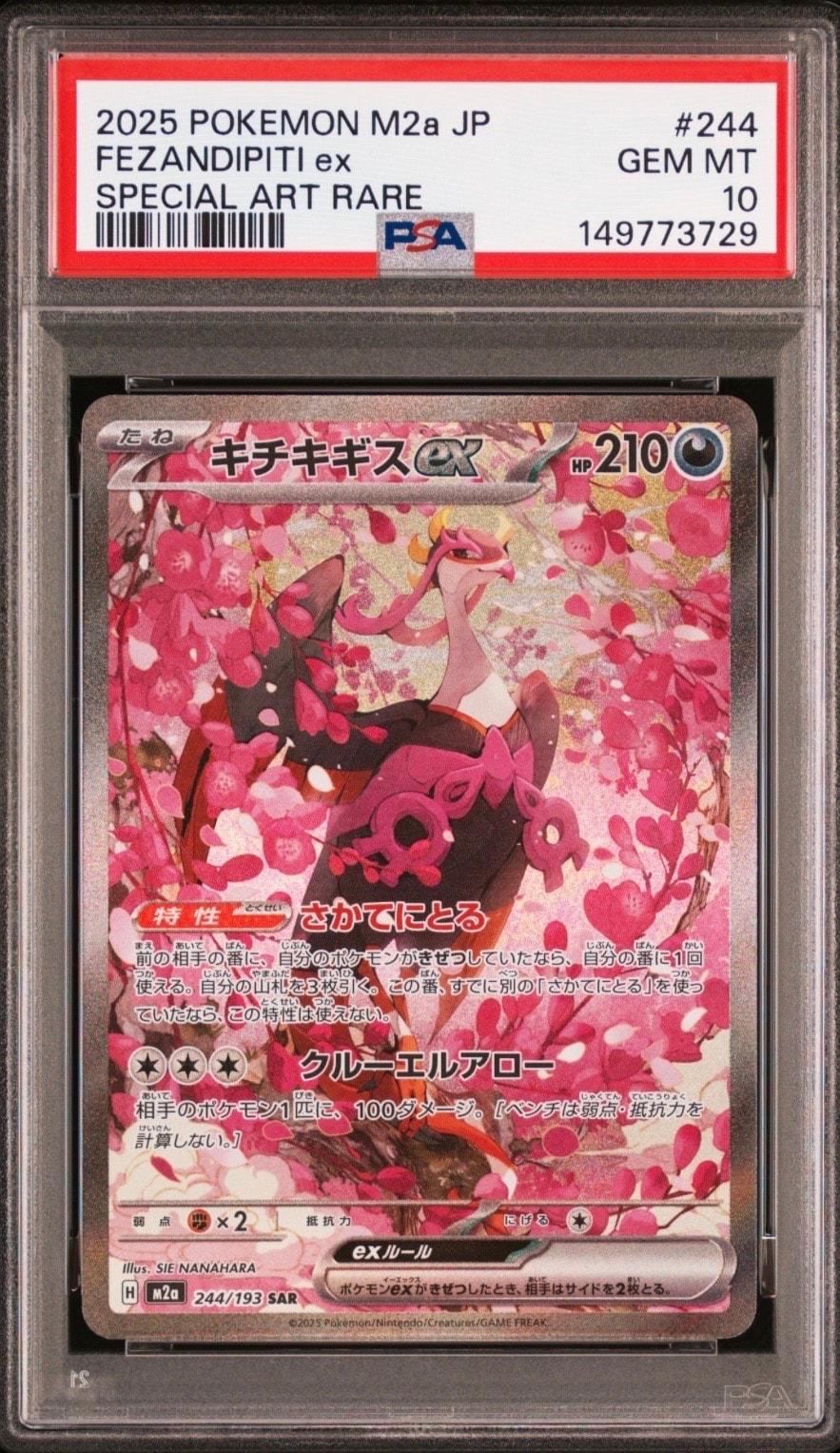 キチキギスex SAR [M2a 244/193](ハイクラスパック「MEGAドリームex」)