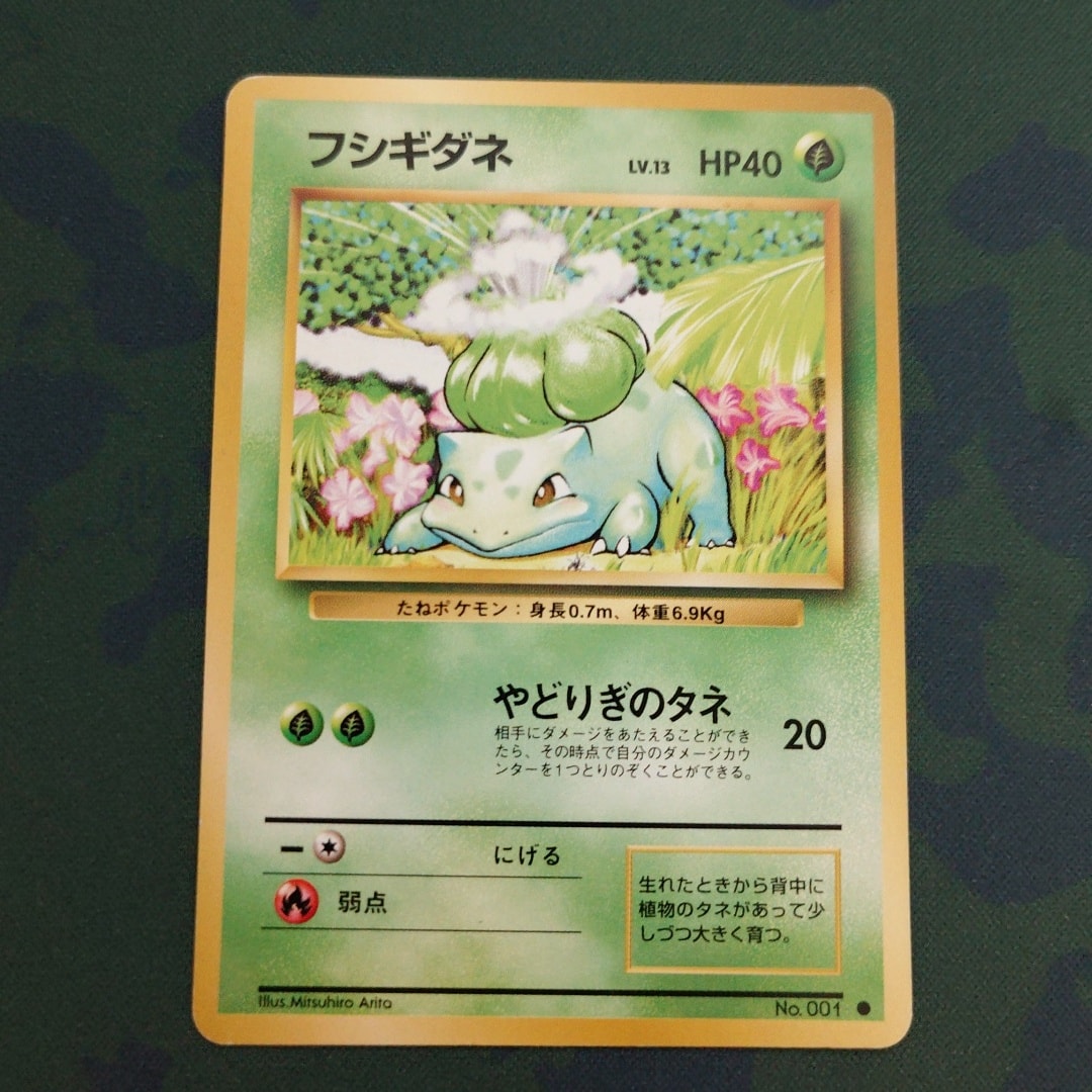 フシギダネ ○ : 旧裏 [PMCG1-2](拡張パック「ポケットモンスター