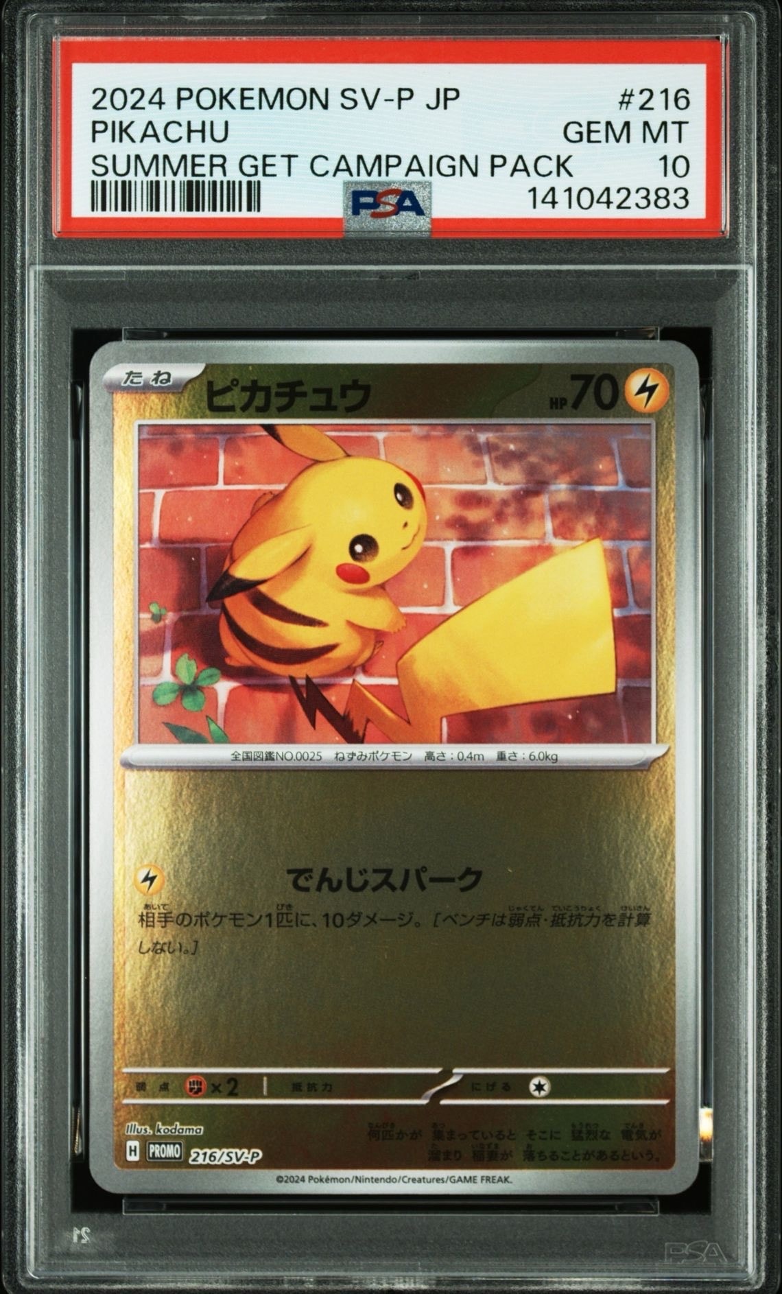 PSA10】ピカチュウ P [SV-P 216](プロモカードパック「ポケカの夏が