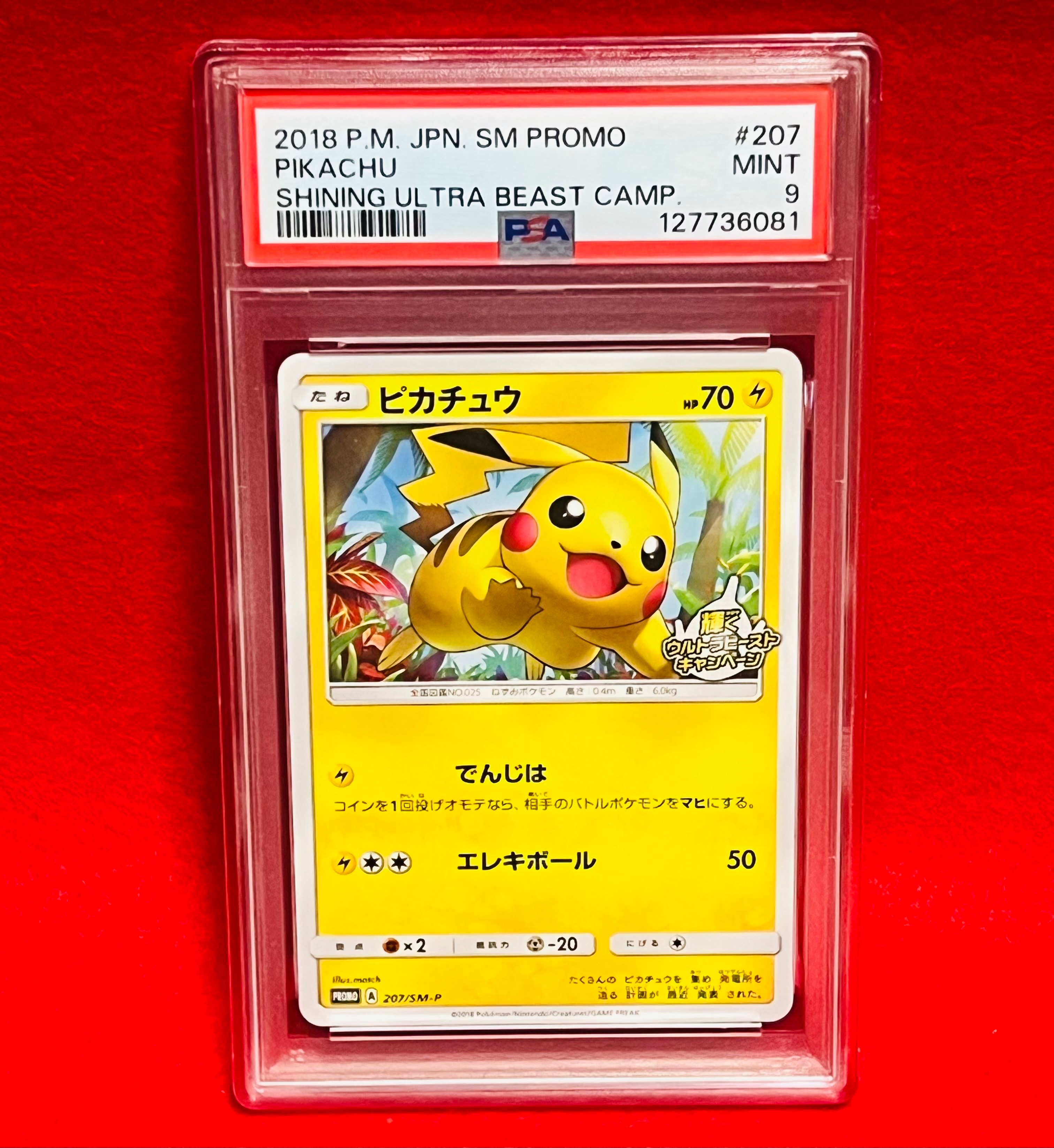 ピカチュウ: プロモ [SM-P 207](プロモーションカード「SM-P」)