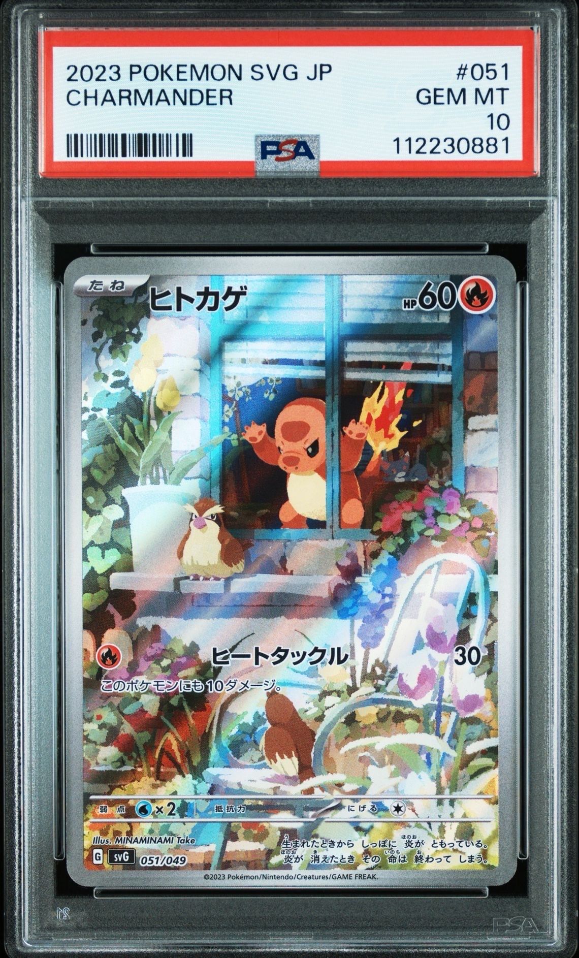 ヒトカゲ :フルイラスト [SVG 051/049](スペシャルデッキセットex「フシギバナ・リザードン・カメックス」)