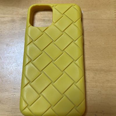 Bottega Veneta iPhone 12 Pro Case "Seagrass"