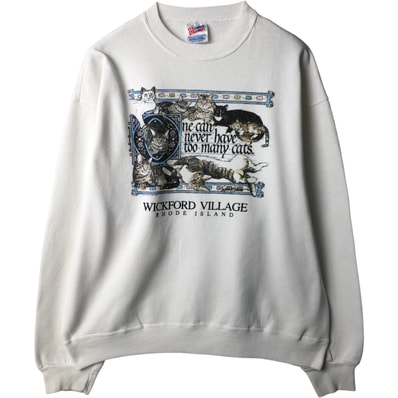 古着 80年代 ヘインズ Hanes ACTIVEWEAR プリントスウェットシャツ トレーナー メンズXL相当 ヴィンテージ/eaa600419