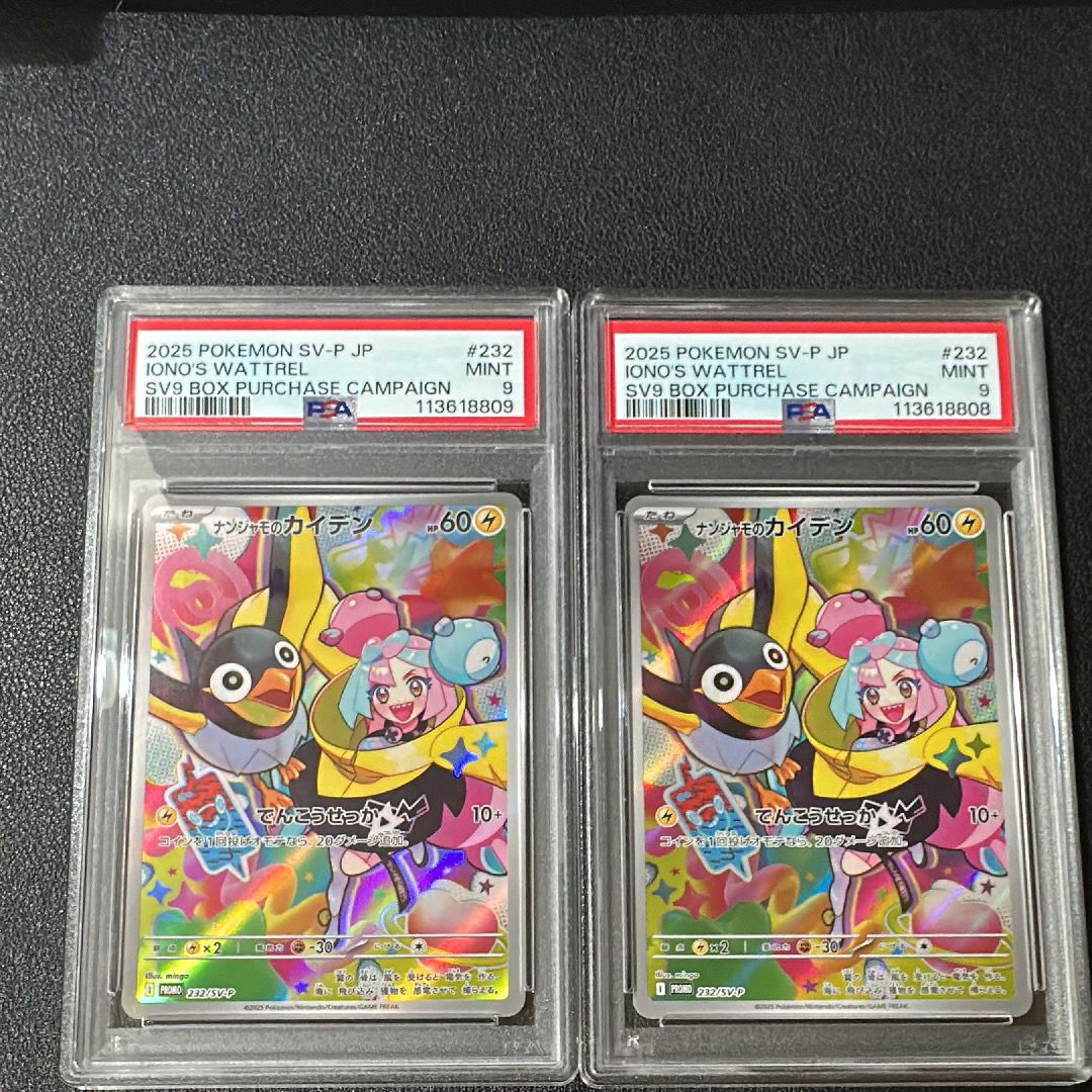 ナンジャモのカイデン P [SV-P 232](プロモーションカード「拡張パック バトルパートナーズ Box購入キャンペーン」)