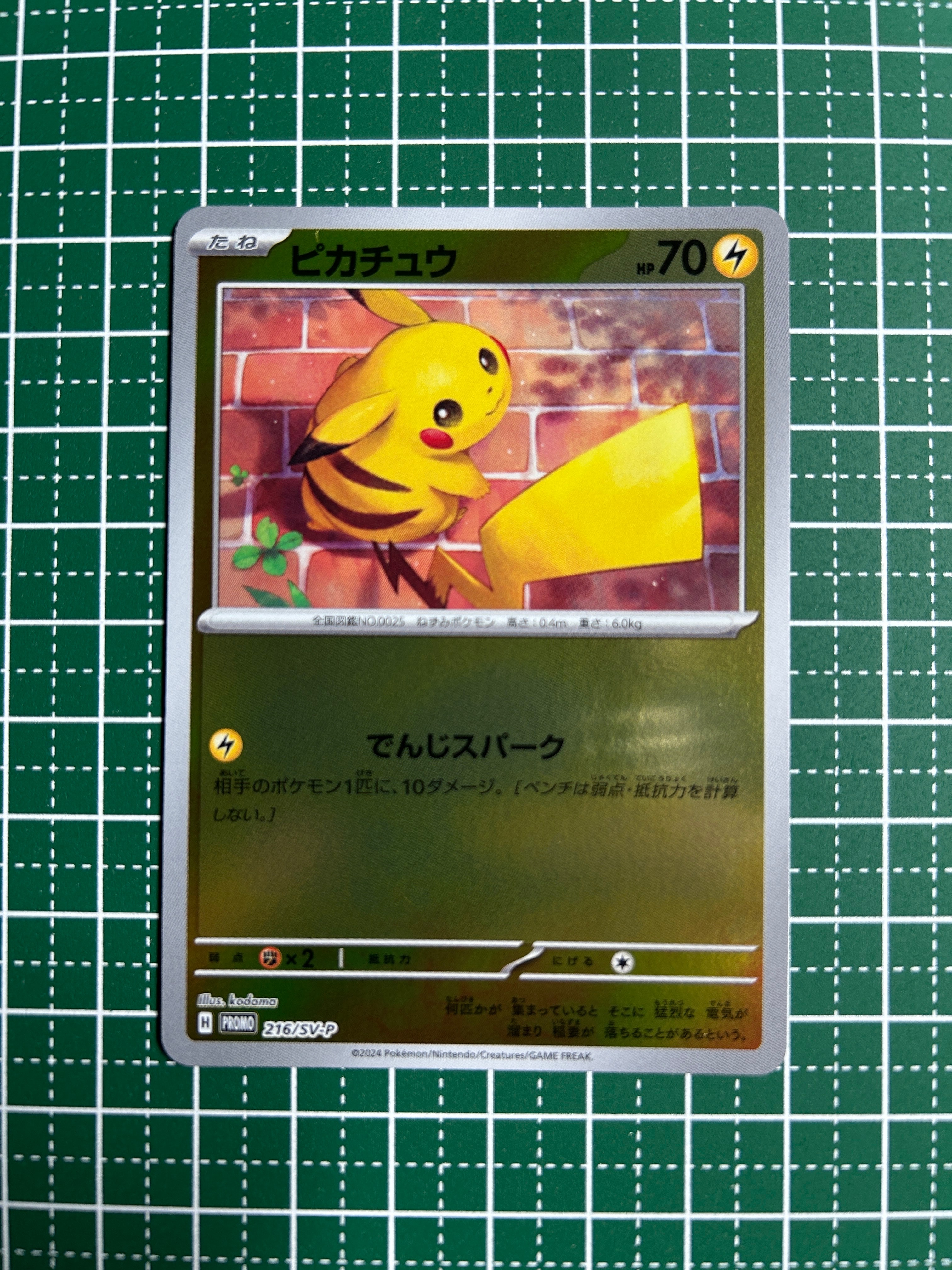 ピカチュウ P [SV-P 216](プロモカードパック「ポケカの夏がキタ!プロモカードGetキャンペーン!」)