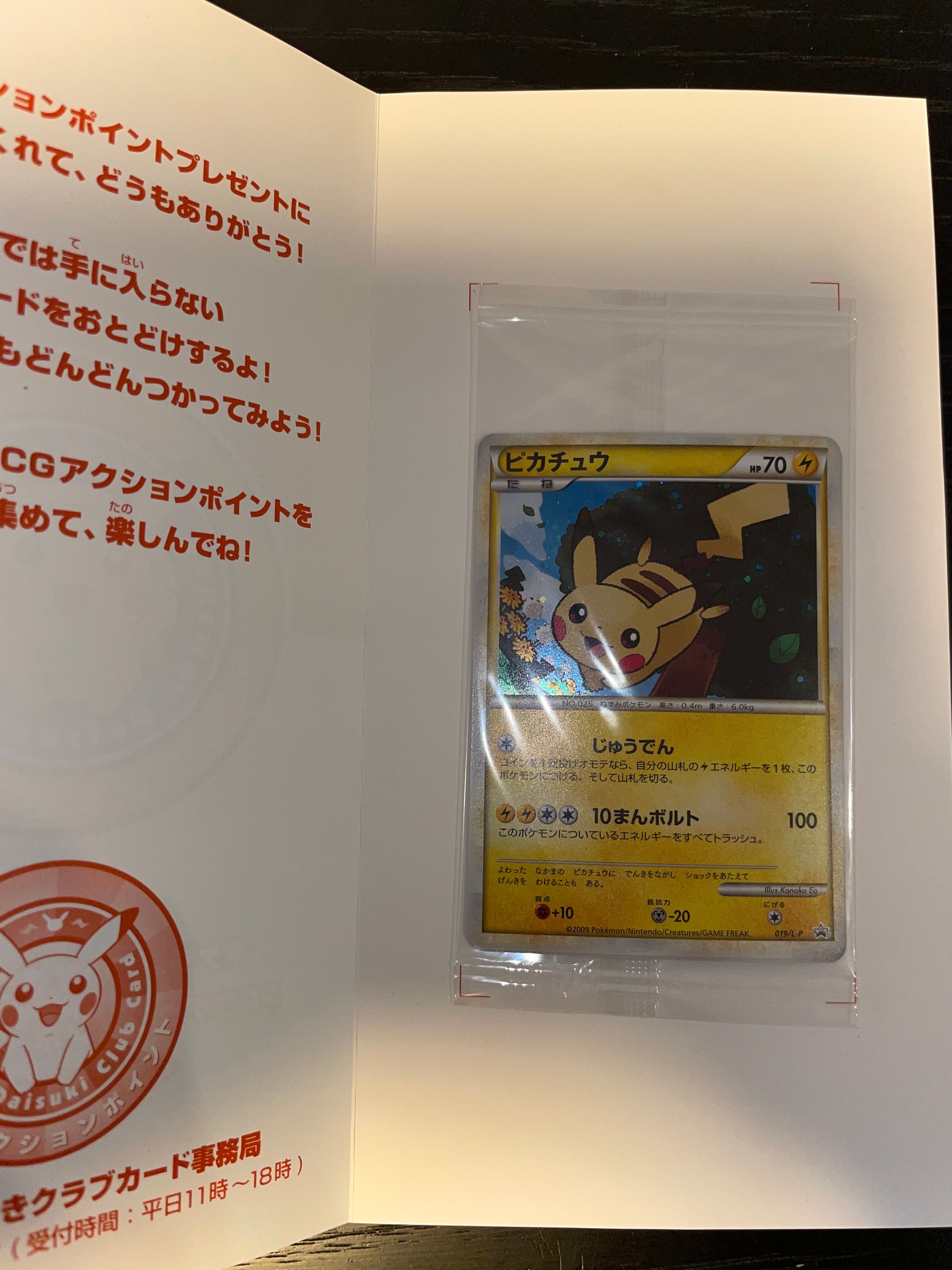 ピカチュウ & 基本雷エネルギー(LEGENDキラ): プロモ[L-P 019 / L-P 014](プロモーションカード「L-P」) 未開封パック