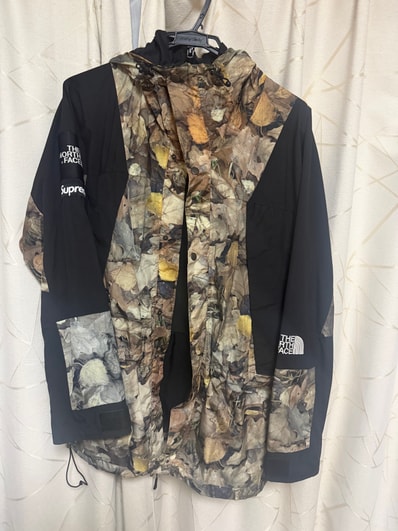 Supreme x The North Face Leaves Mountain Light Jacket "Leaves"