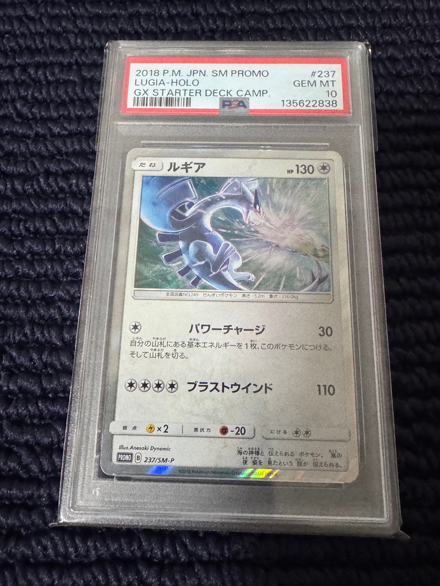 ルギア P [SM-P 237](GXスタートデッキ「Wルギアキャンペーン」)通販