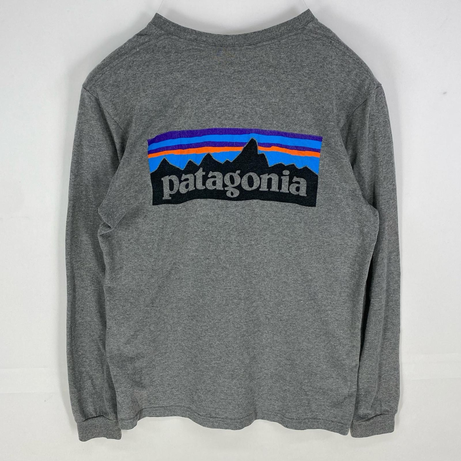 古着 パタゴニア patagonia 長袖Tシャツ ワンポイント ロングスリーブ アウトドア クルーネック S  グレー系 バックプリント メンズ