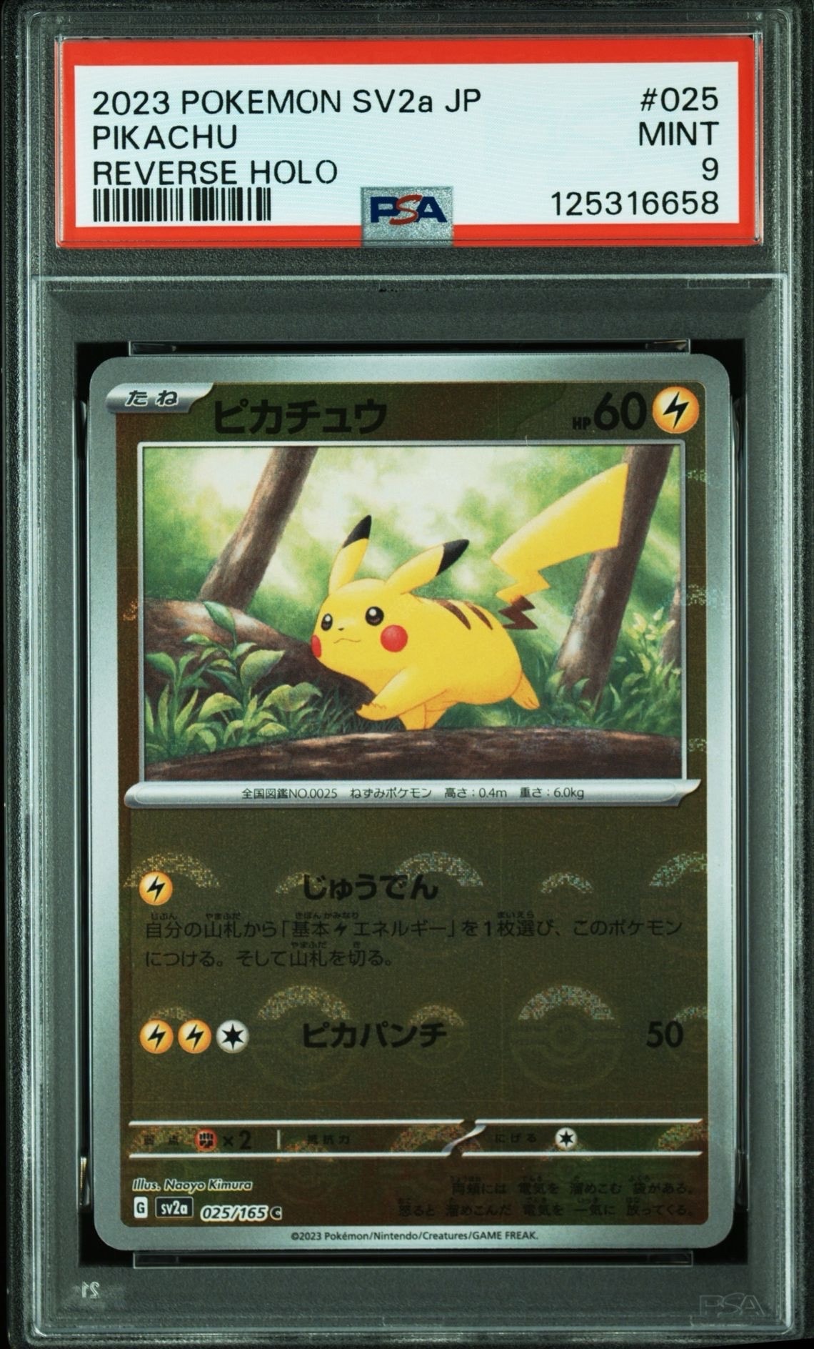 ピカチュウ C: モンスターボールミラー[SV2a 025/165](強化拡張パック「ポケモンカード151」)