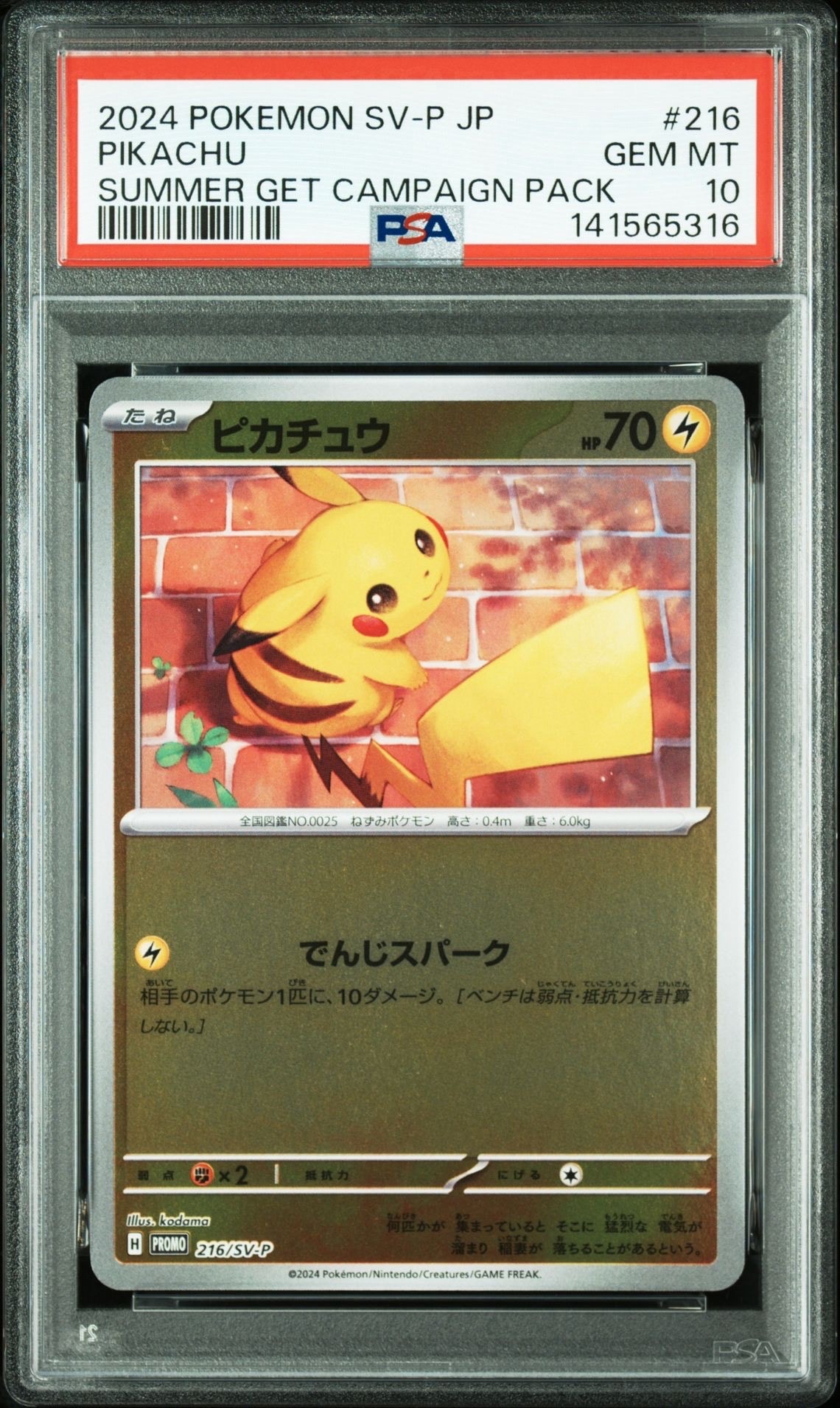 ピカチュウ P [SV-P 216](プロモカードパック「ポケカの夏がキタ
