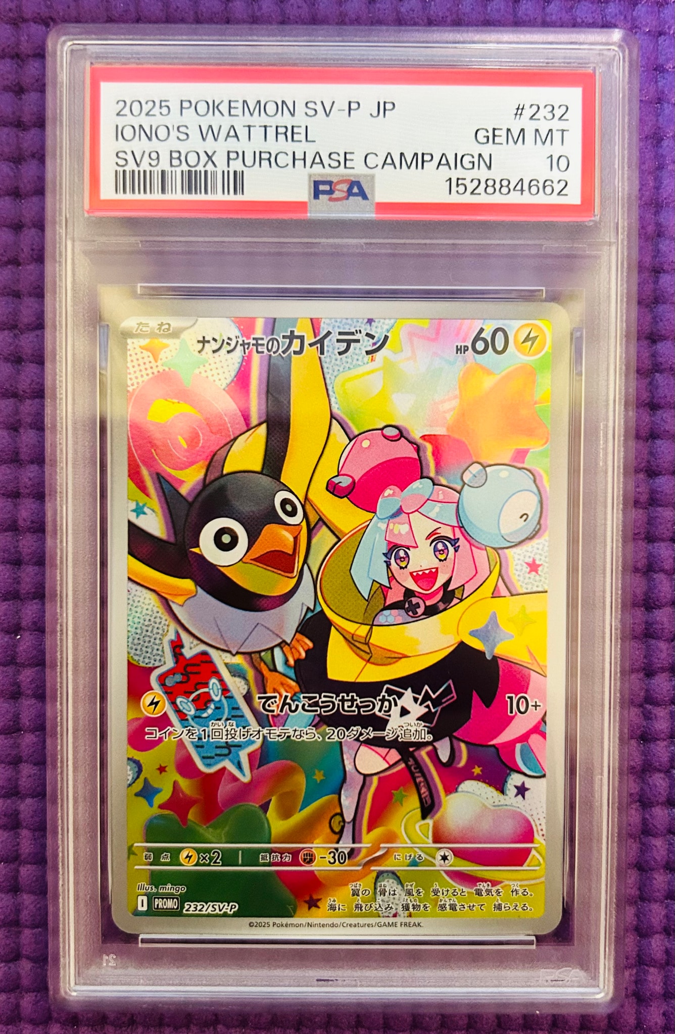 ナンジャモのカイデン P [SV-P 232](プロモーションカード「拡張パック