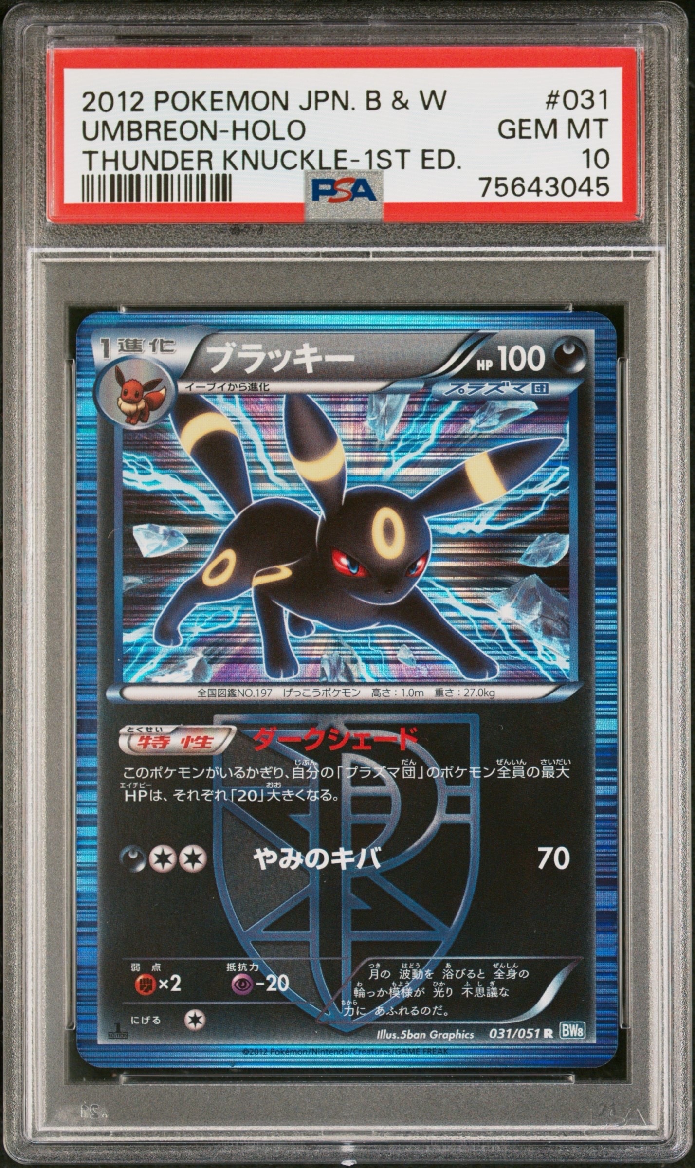 ブラッキー R :1ED [BW8 031/051](拡張パック「ライデンナックル」)