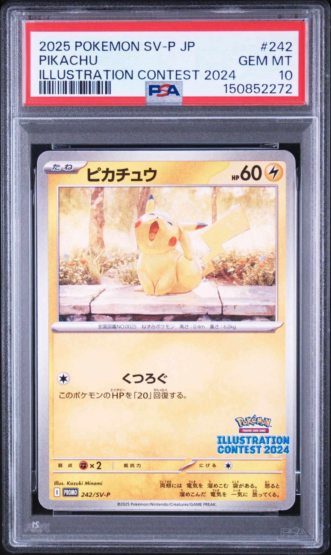 ピカチュウ [SV-P 242](プロモカードパック「イラストレーション