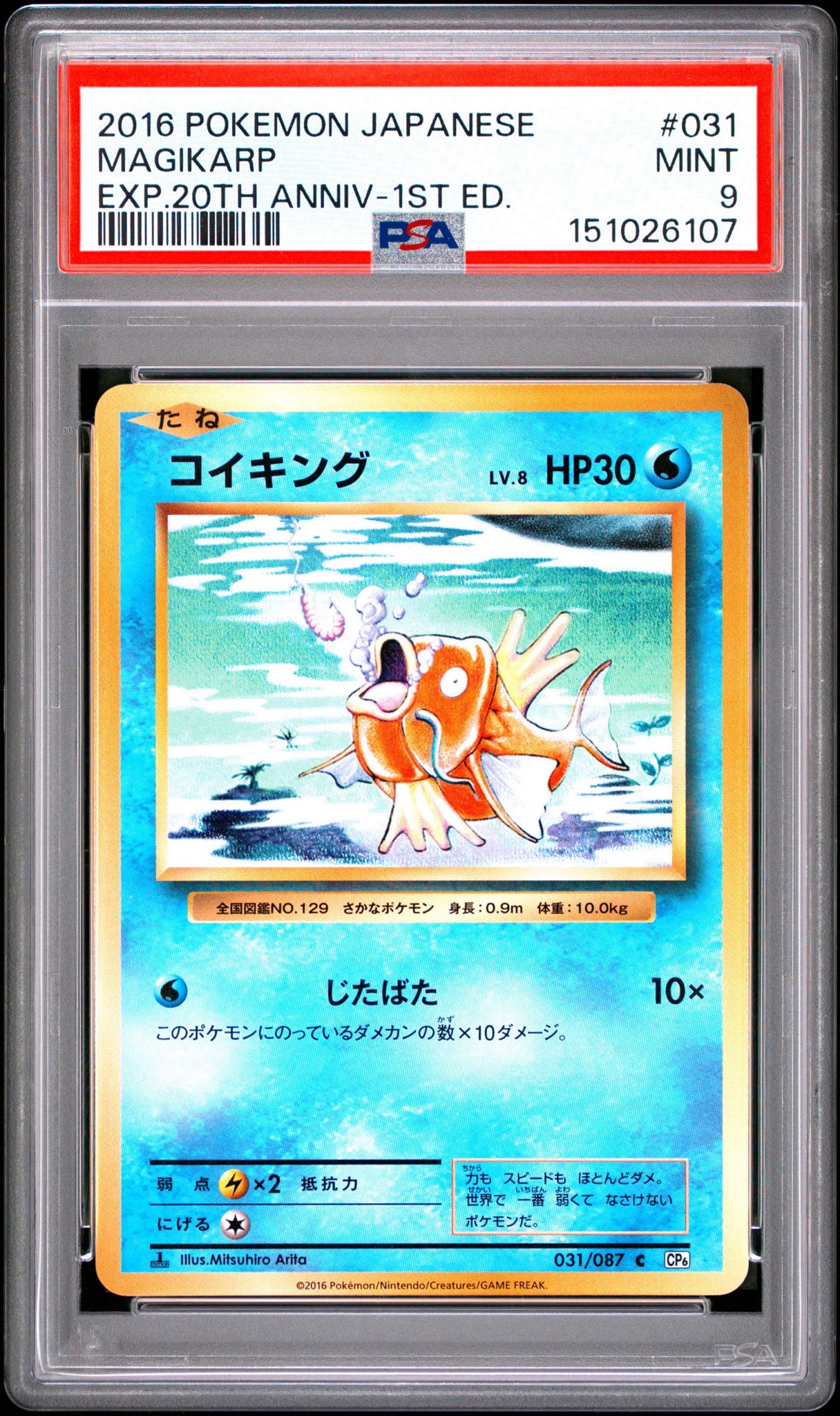 コイキング C :1ED [CP6 031/087](コンセプトパック「ポケットモンスターカードゲーム 拡張パック 20th Anniversary」)