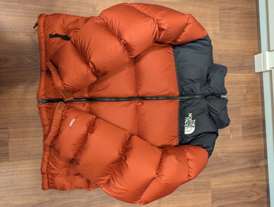 The North Face 1996 Retro Nuptse Jacket (NF0A3C8D) "Brick House Red"