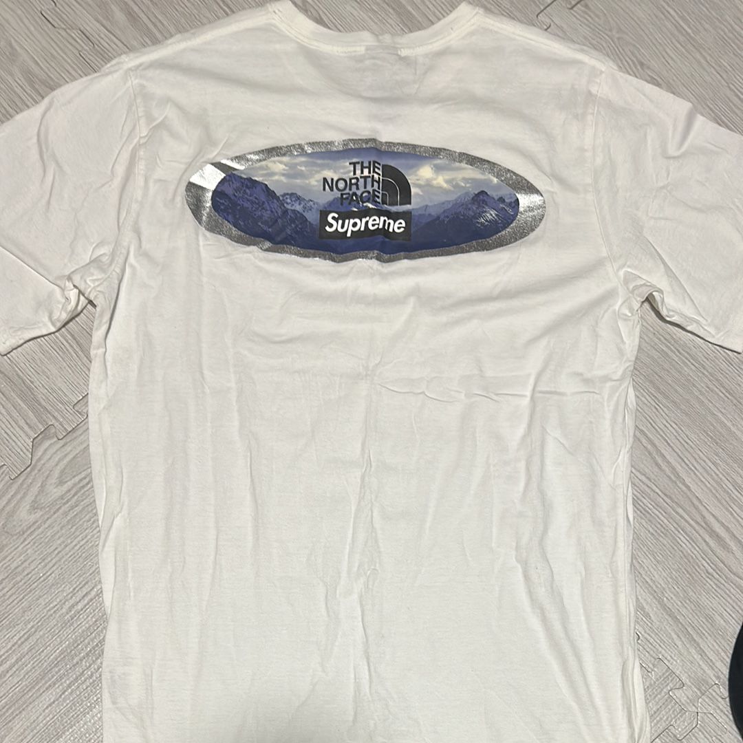 シュプリーム ザノースフェイス マウンテン Tシャツ "ホワイト"