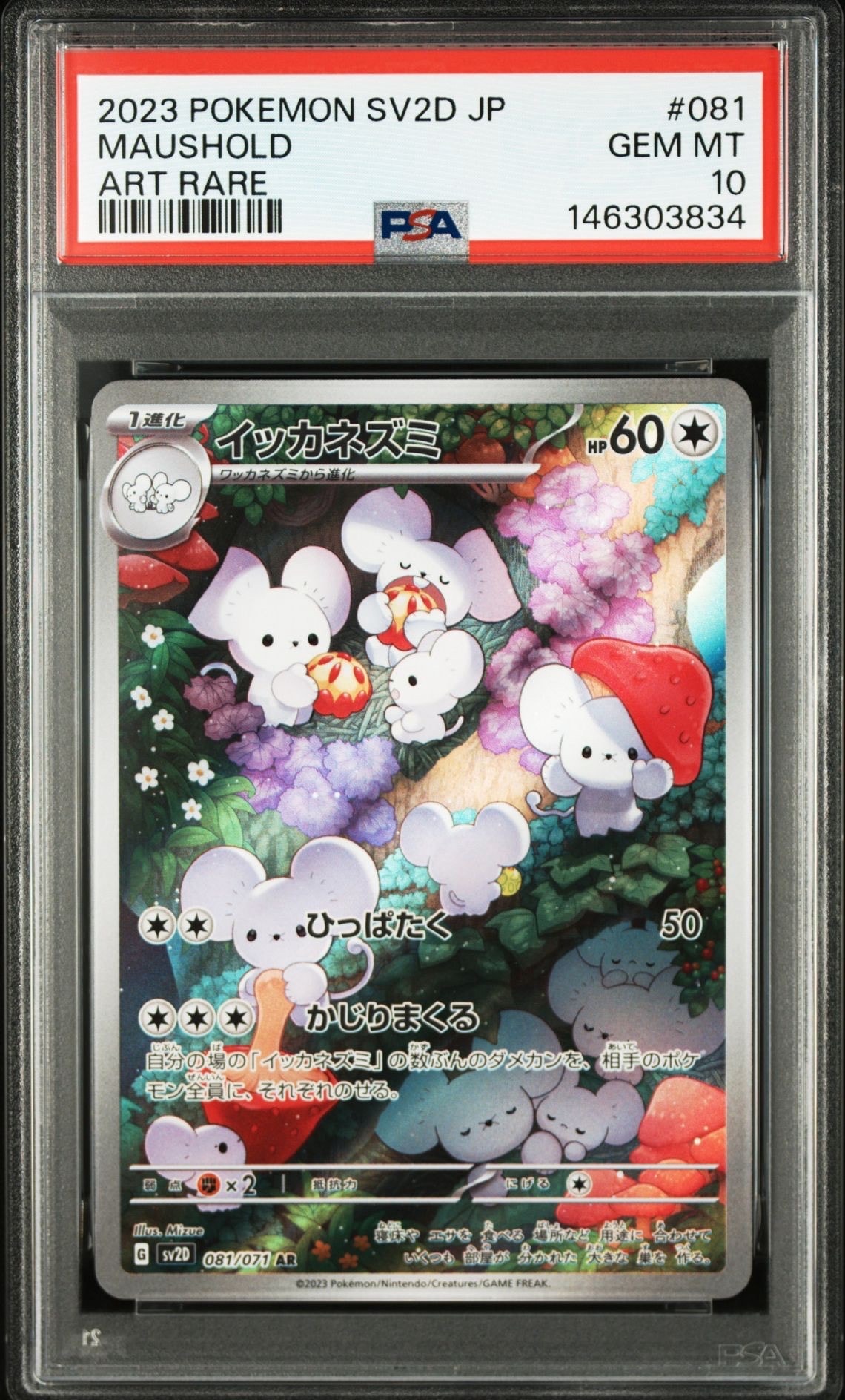 イッカネズミ AR[SV2D 081/071](拡張パック「クレイバースト」)の新品