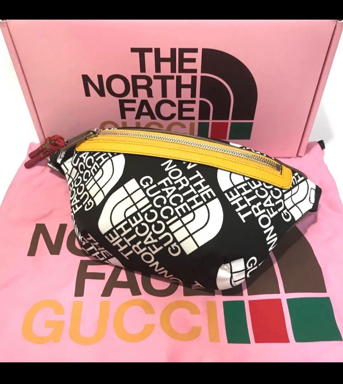 THE NORTH FACE×GUCCI ウエストバッグ サイズ95 2021 コラボ グッチ ノースフェイス ロゴ ウエストバッグ (GUCCI