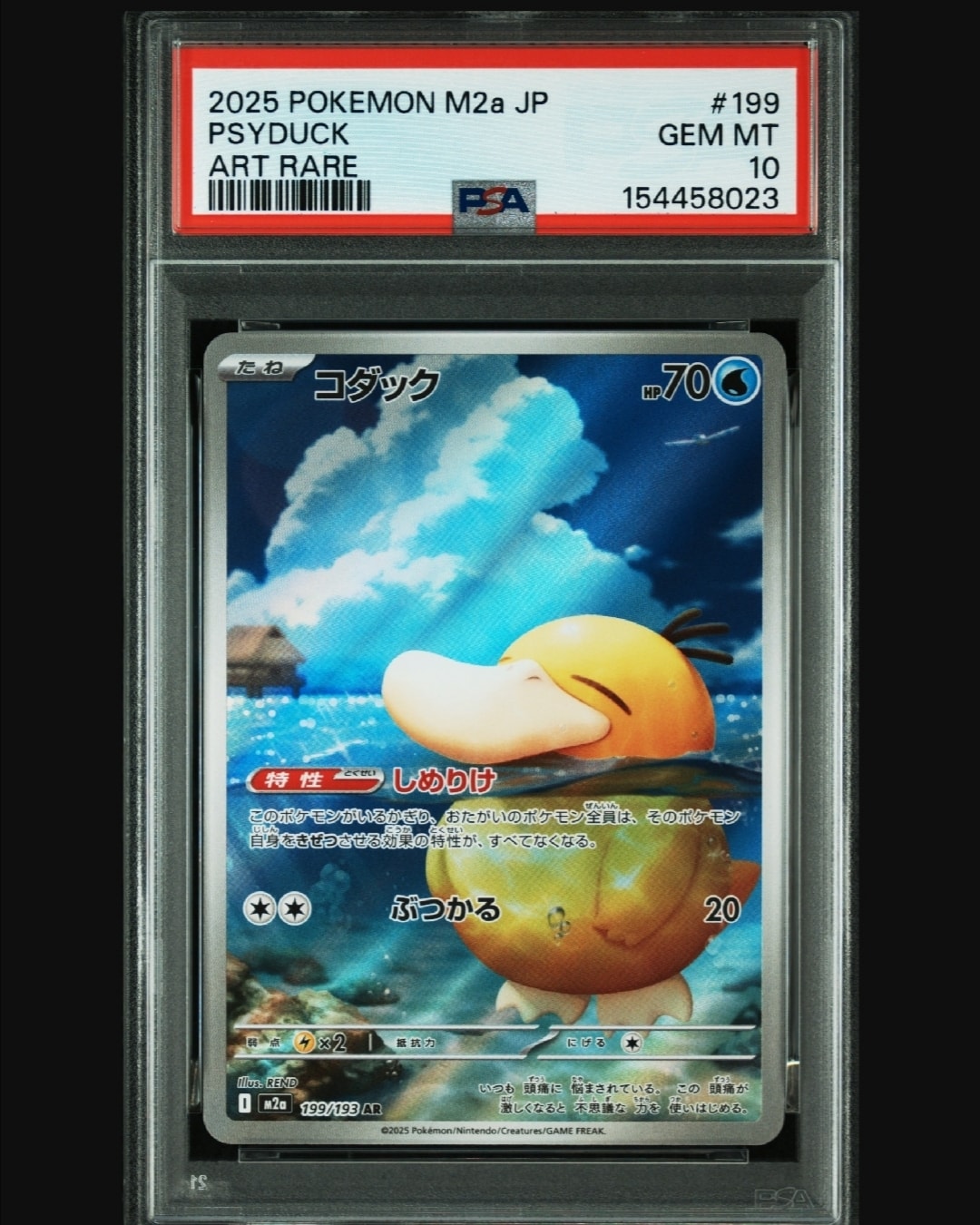 コダック AR [M2a 199/193](ハイクラスパック「MEGAドリームex」)