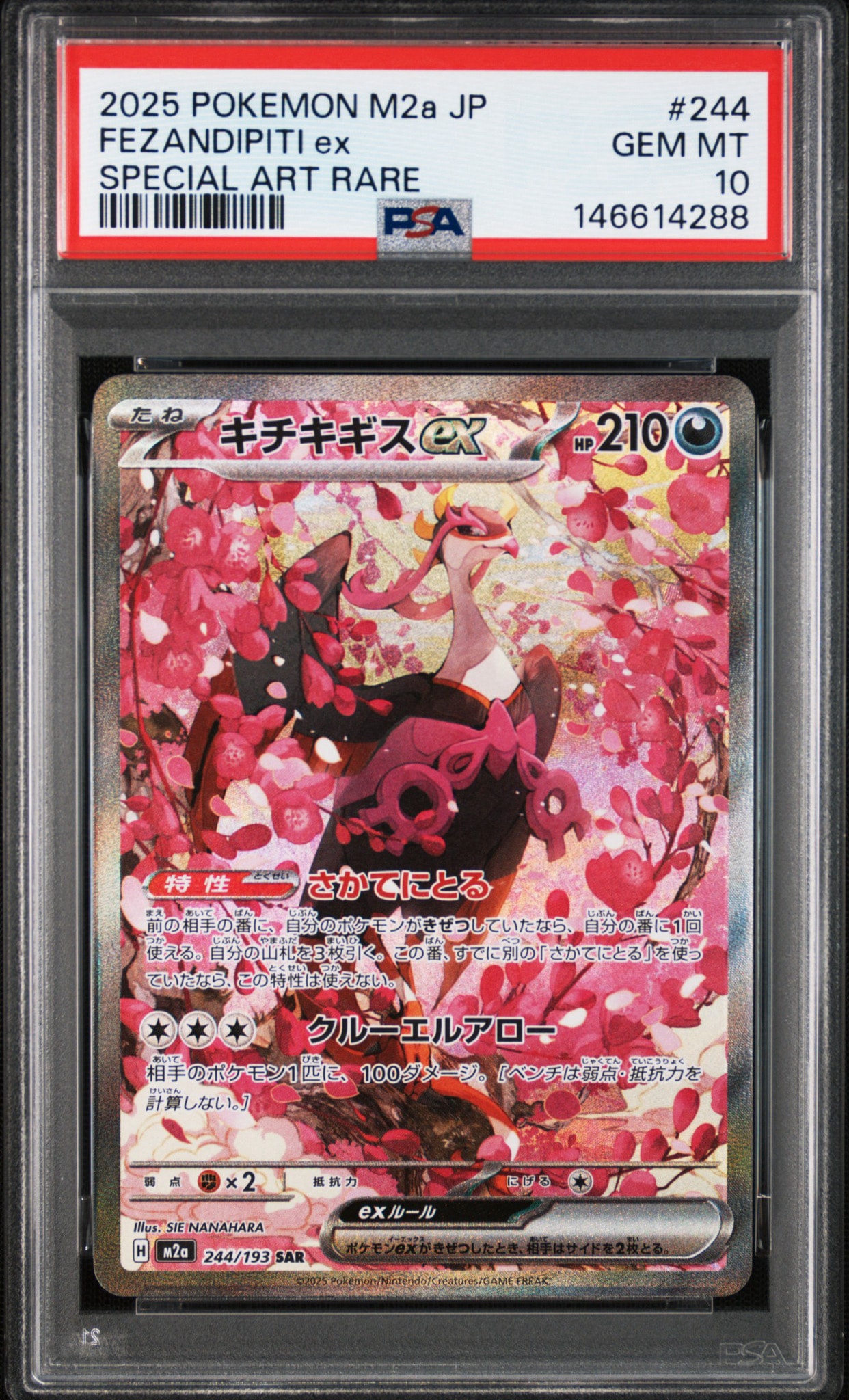 PSA10 キチキギスex SAR 244/193 PSA10】キチキギスex SAR [M2a 244/193](ハイクラスパック「MEGA