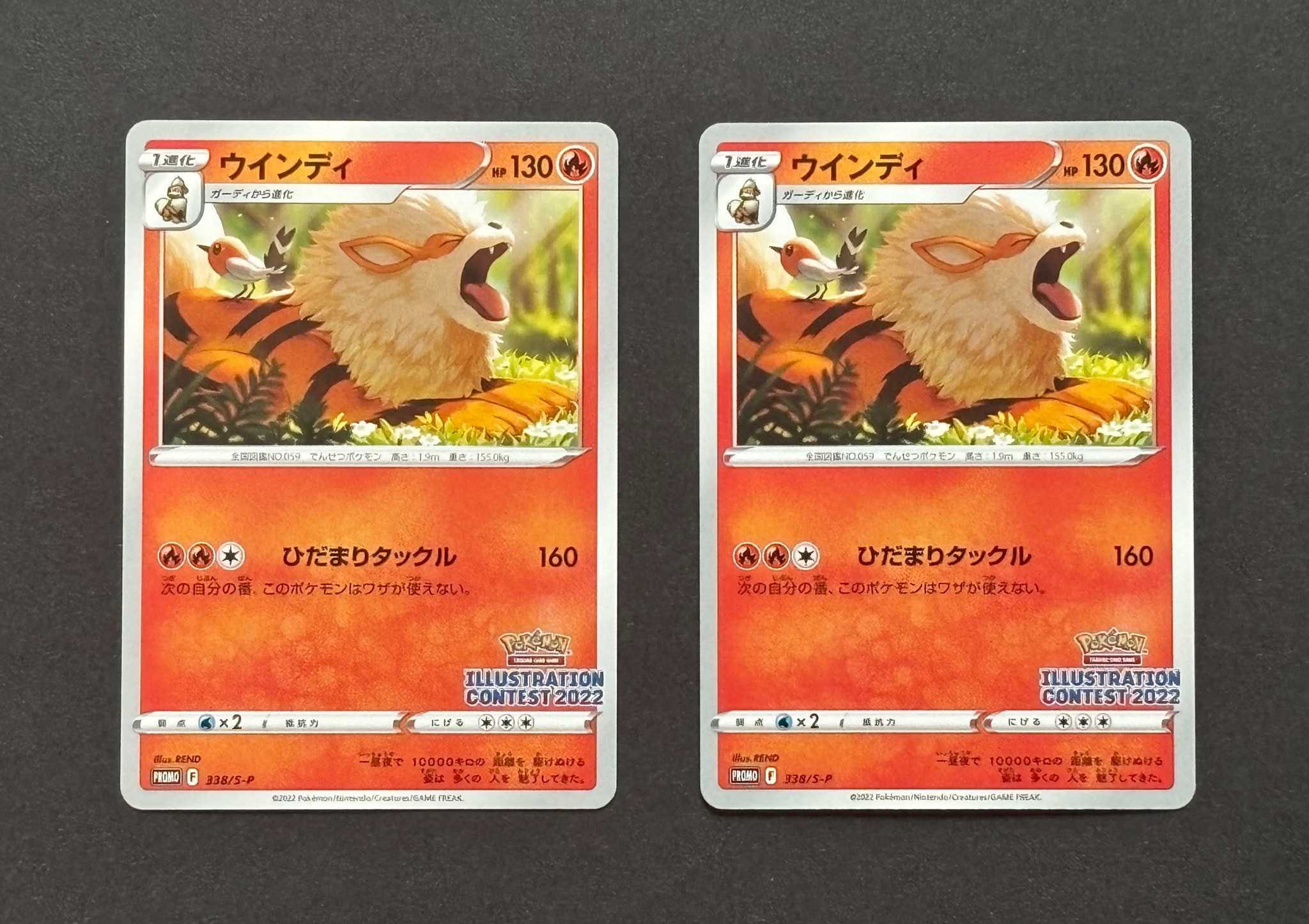 ウインディ プロモ[PROMO338 S-P](プロモーションカード「ポケモン