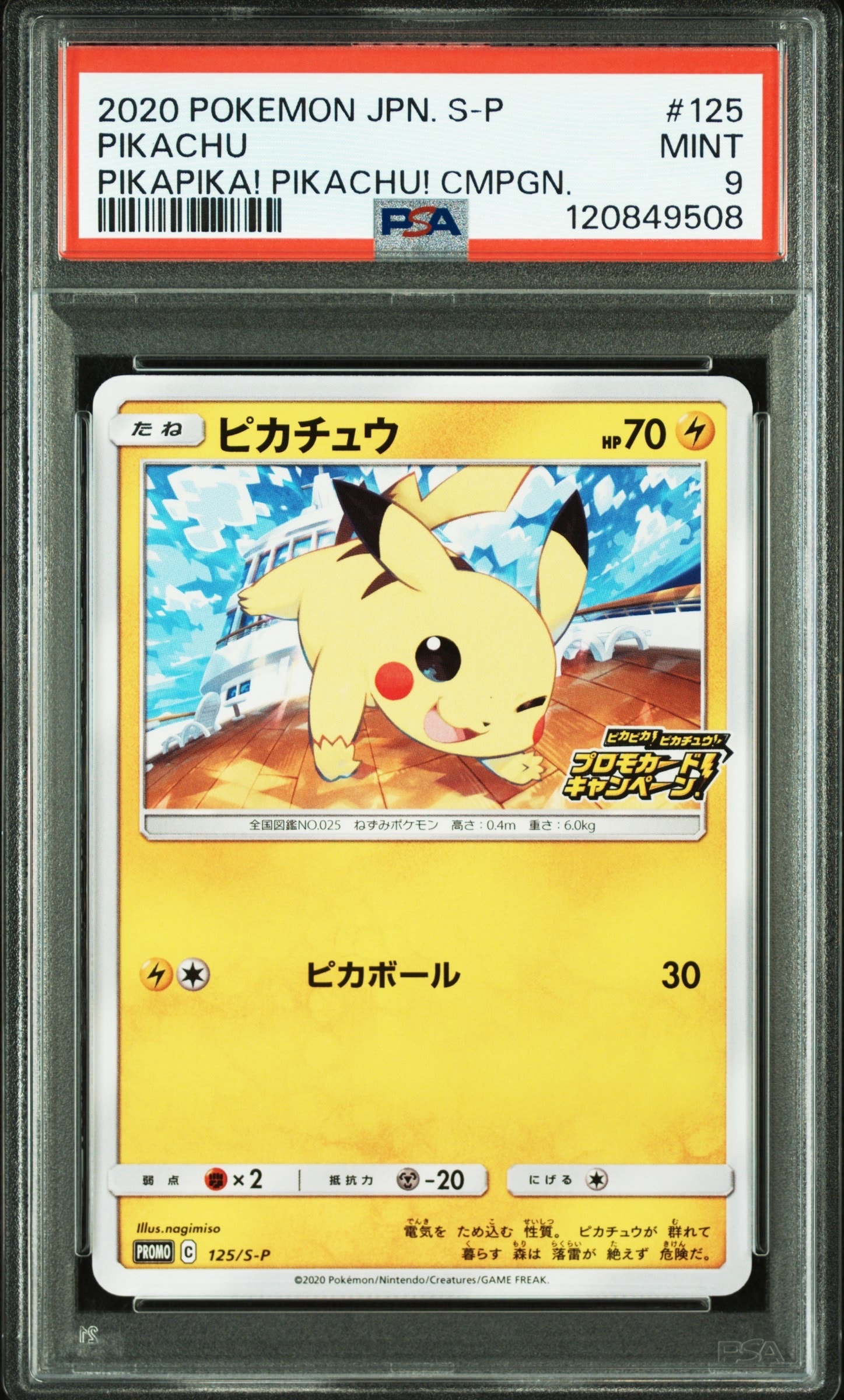 ピカチュウ: プロモ P [S-P 125](ピカピカ!ピカチュウ!プロモカードキャンペーン)