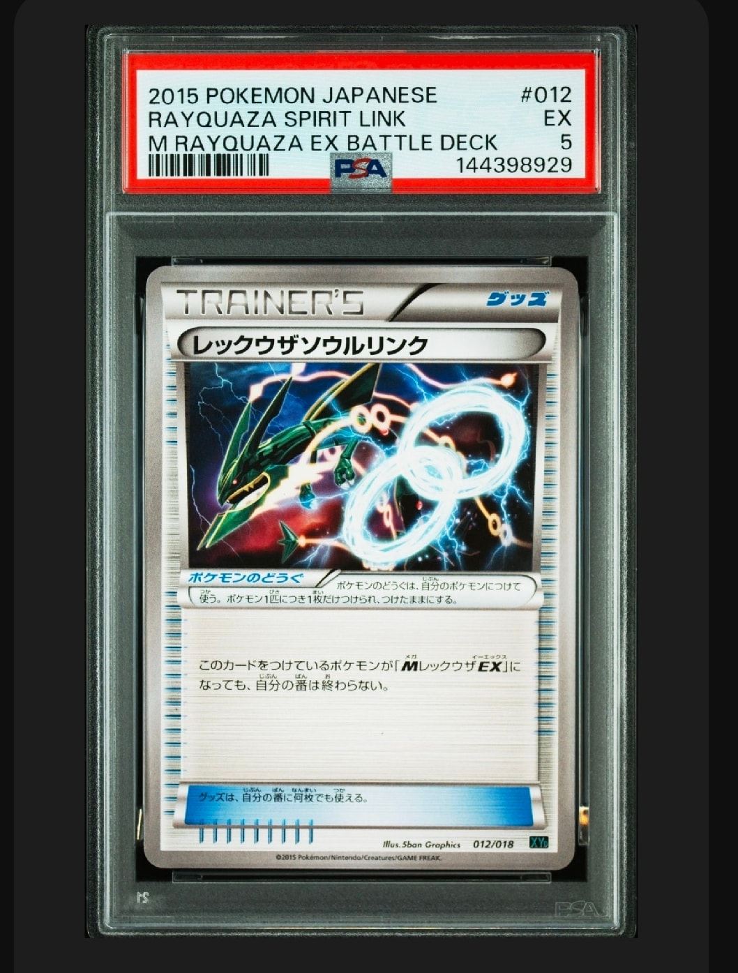 PSA8以下】ゼニガメ [DPt-P 009](プロモーションカード「ポケモン