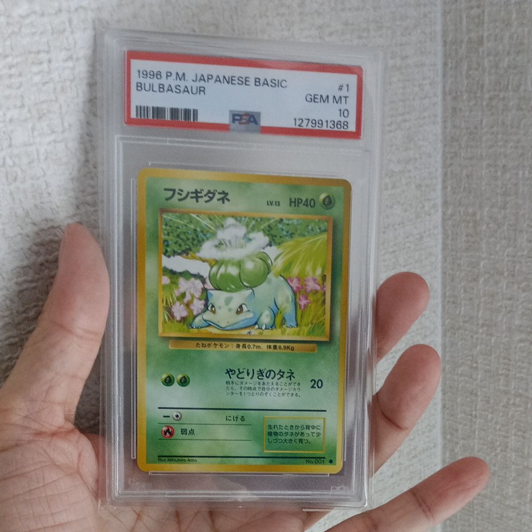 状態D】フシギダネ ○ : 旧裏 [PMCG1-2](拡張パック