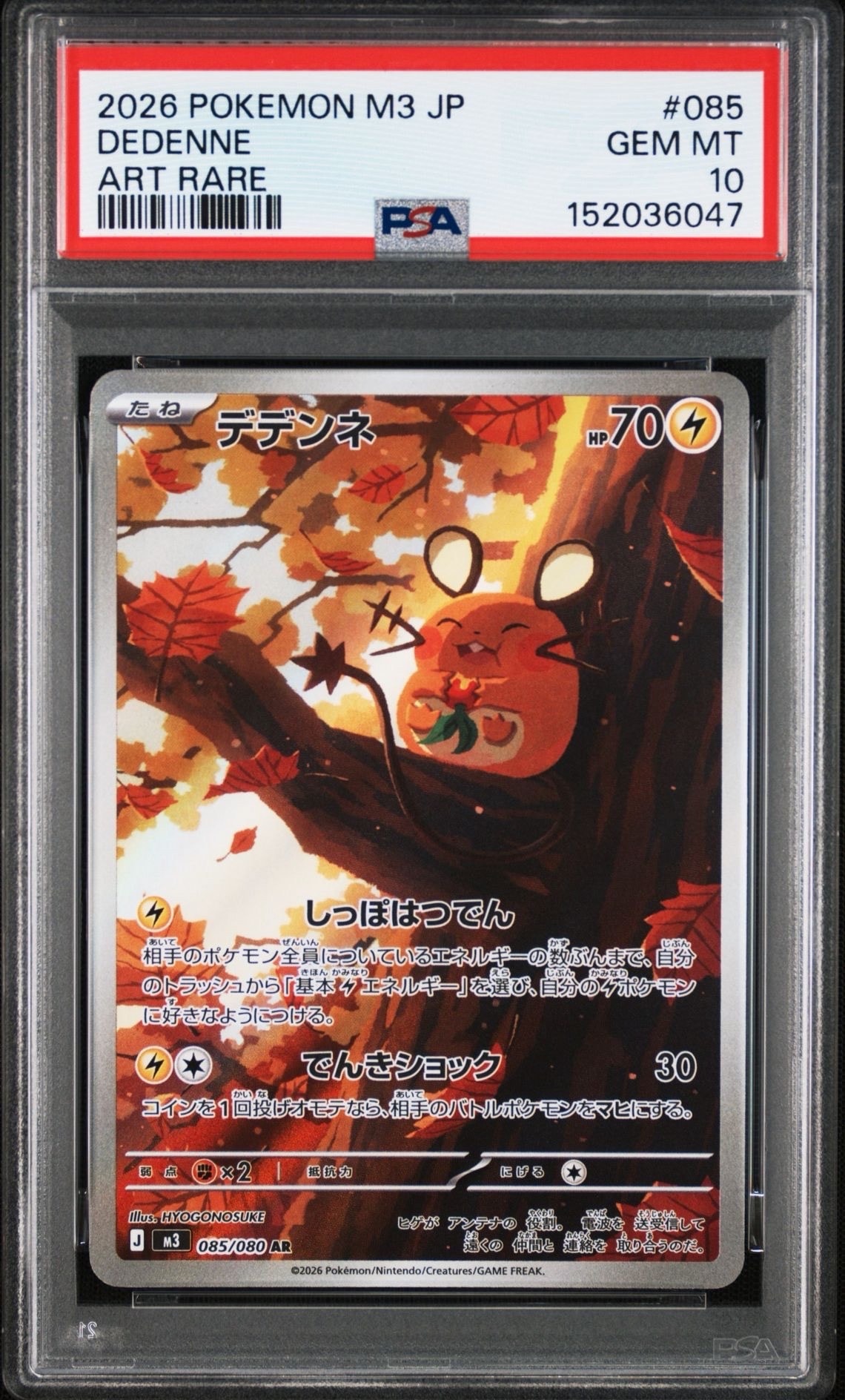 デデンネ AR [M3 085/080](拡張パック「ムニキスゼロ」)の新品/中古