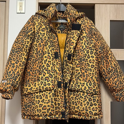 Supreme GORE-TEX 700-Fill Down Parka "Leopard"