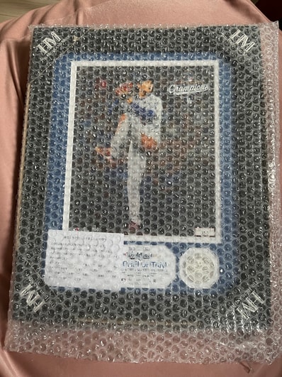 大谷翔平 ダブルコインフォト 2025ワールドシリーズ